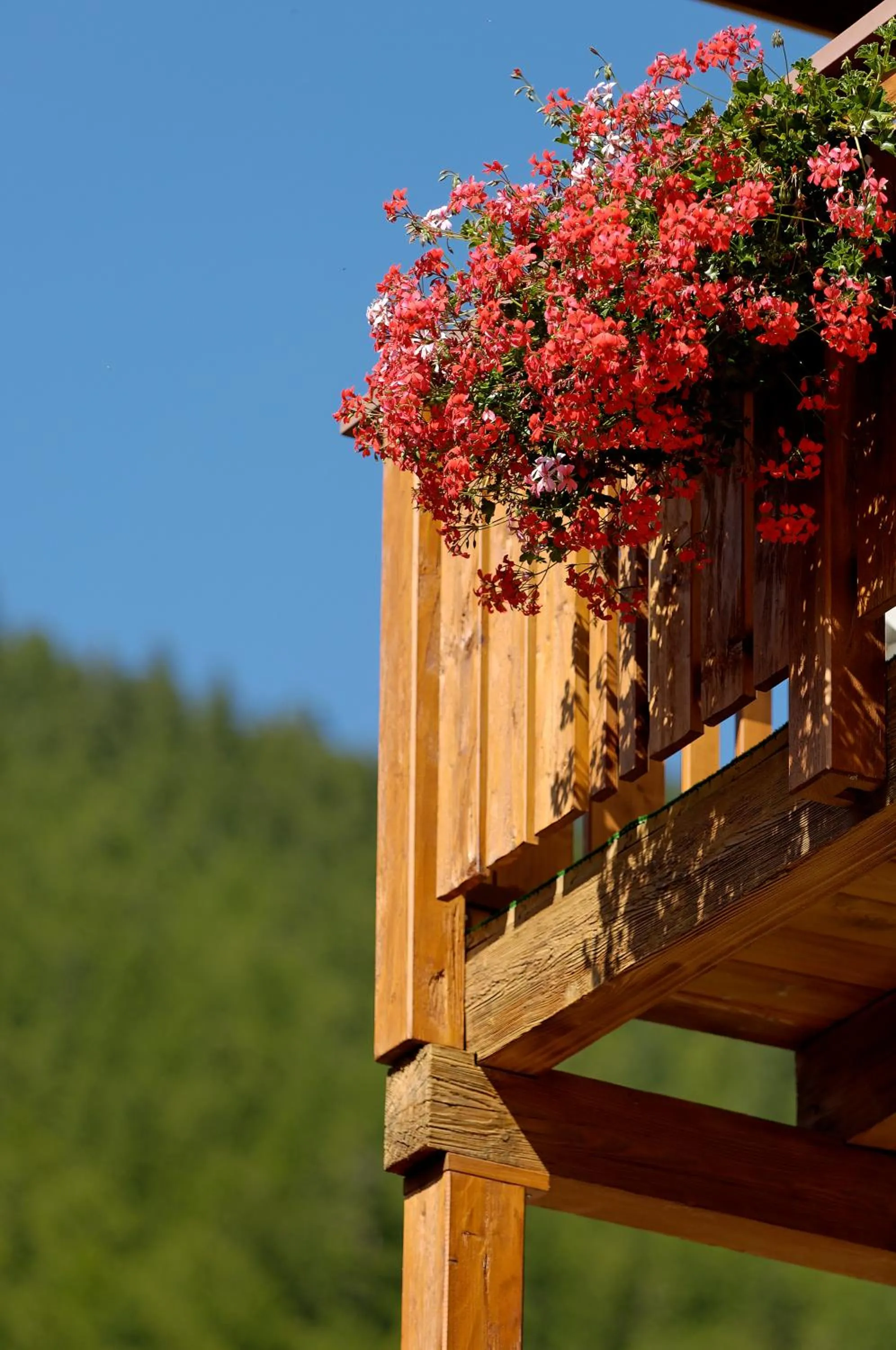 Facade/entrance in Park-Hotel Saas- Fee
