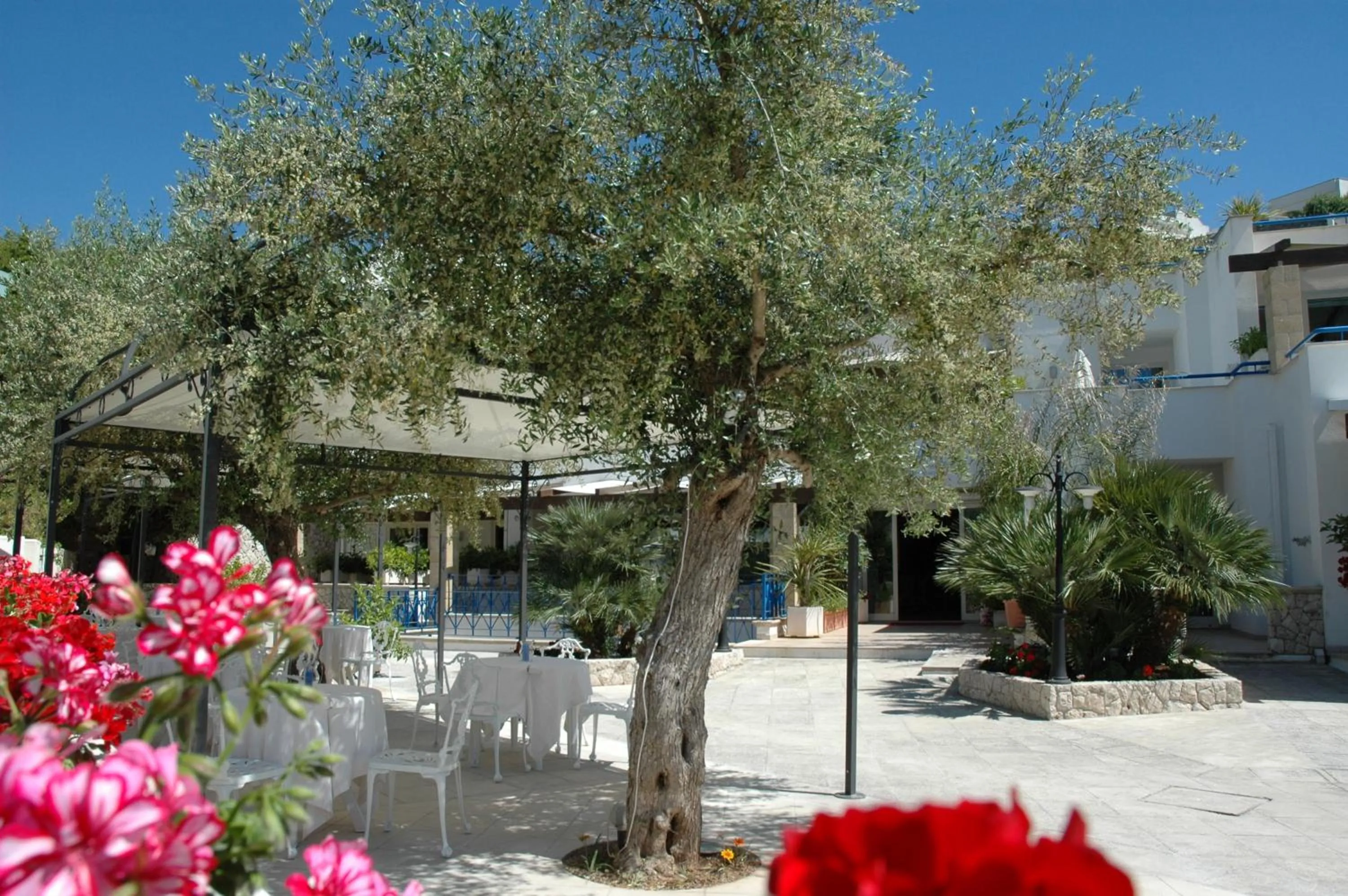 Patio in Hotel Selenia Residence