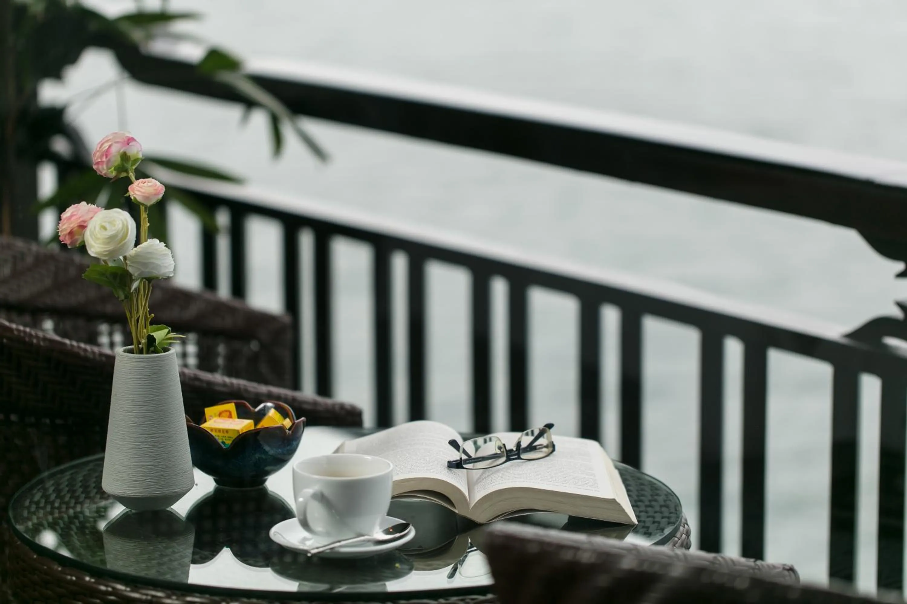 Balcony/Terrace in Genesis Luxury Regal Cruise by Premier Group