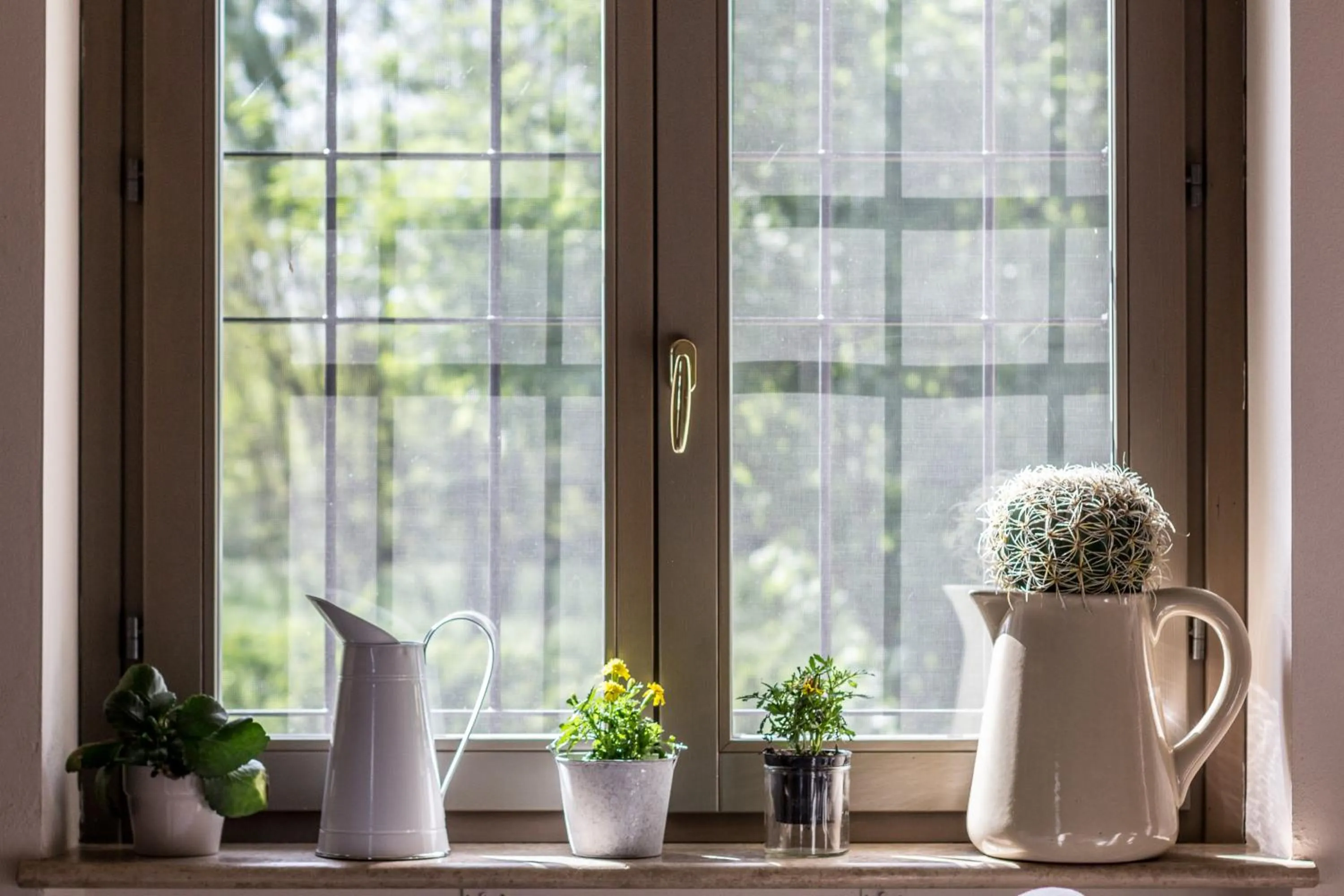 Garden view in La Maison De Vì