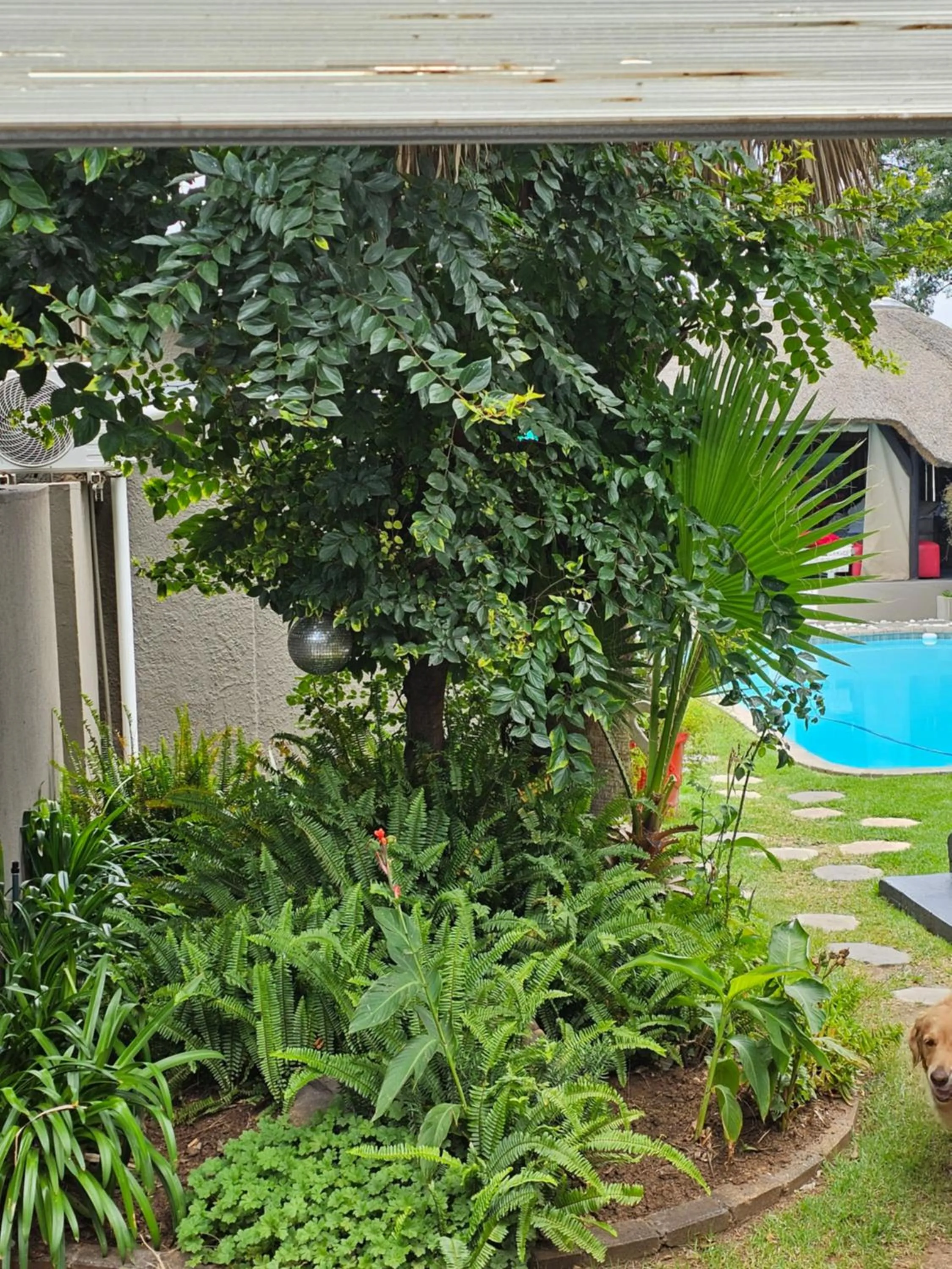 Garden view in The Armagh Guesthouse