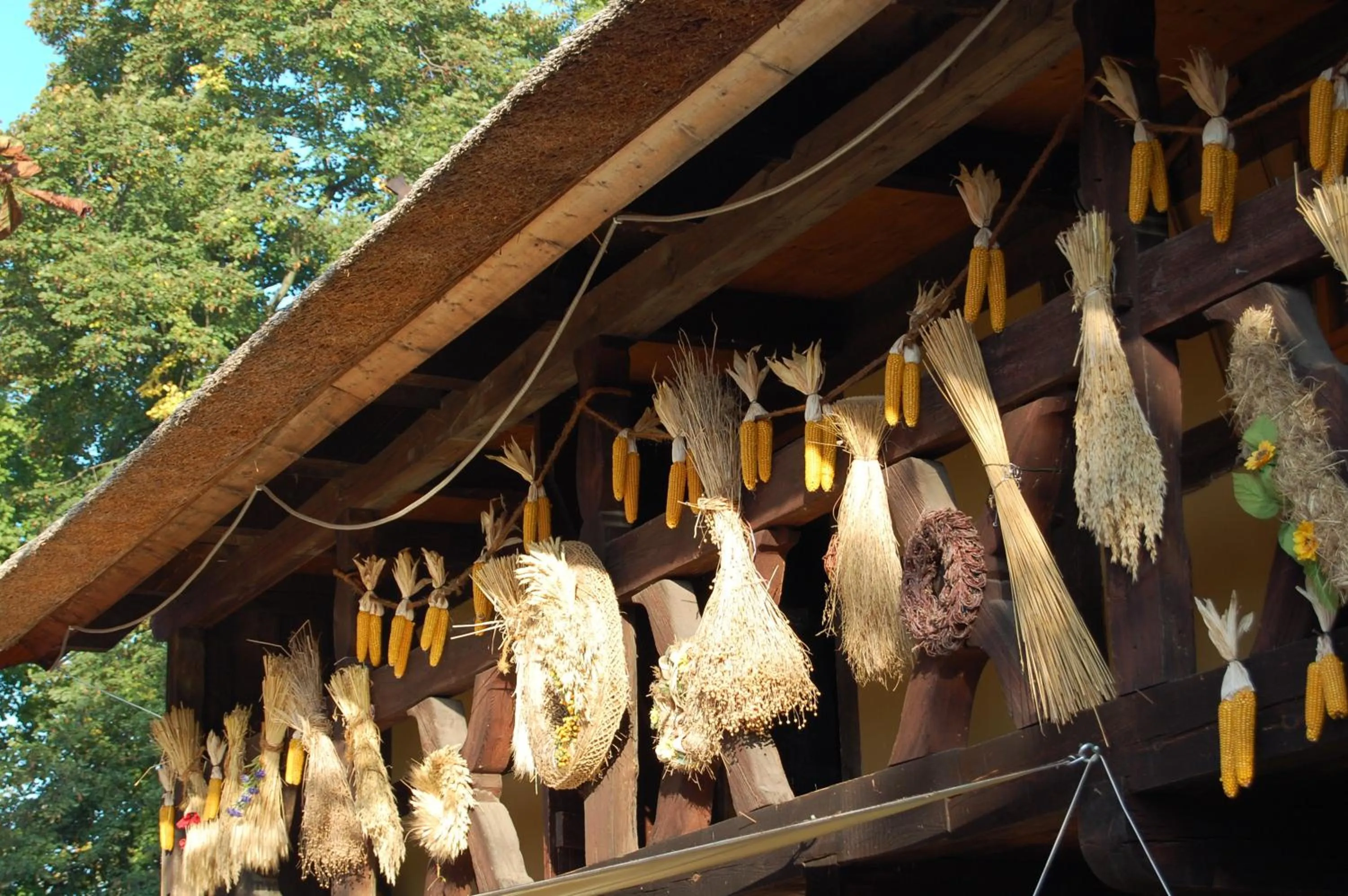 Other in Die GURKENSCHEUNE - Frühstückspension