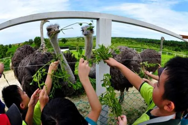 People in UK FARM Agro Resort