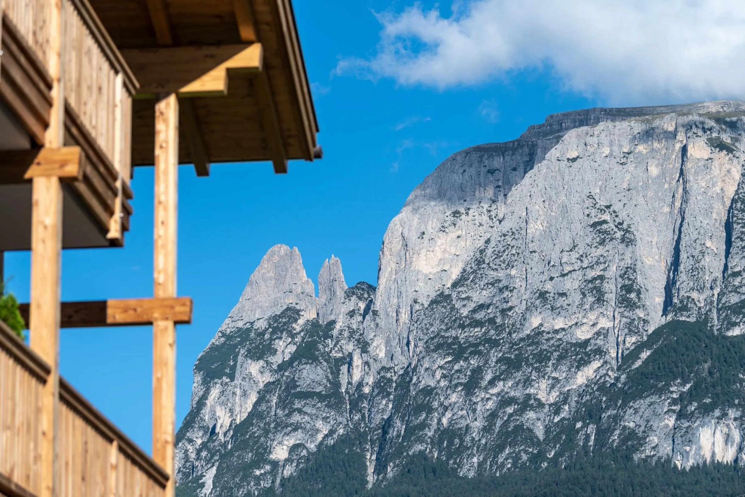 Natural landscape in Hotel Garni Mitterstieler