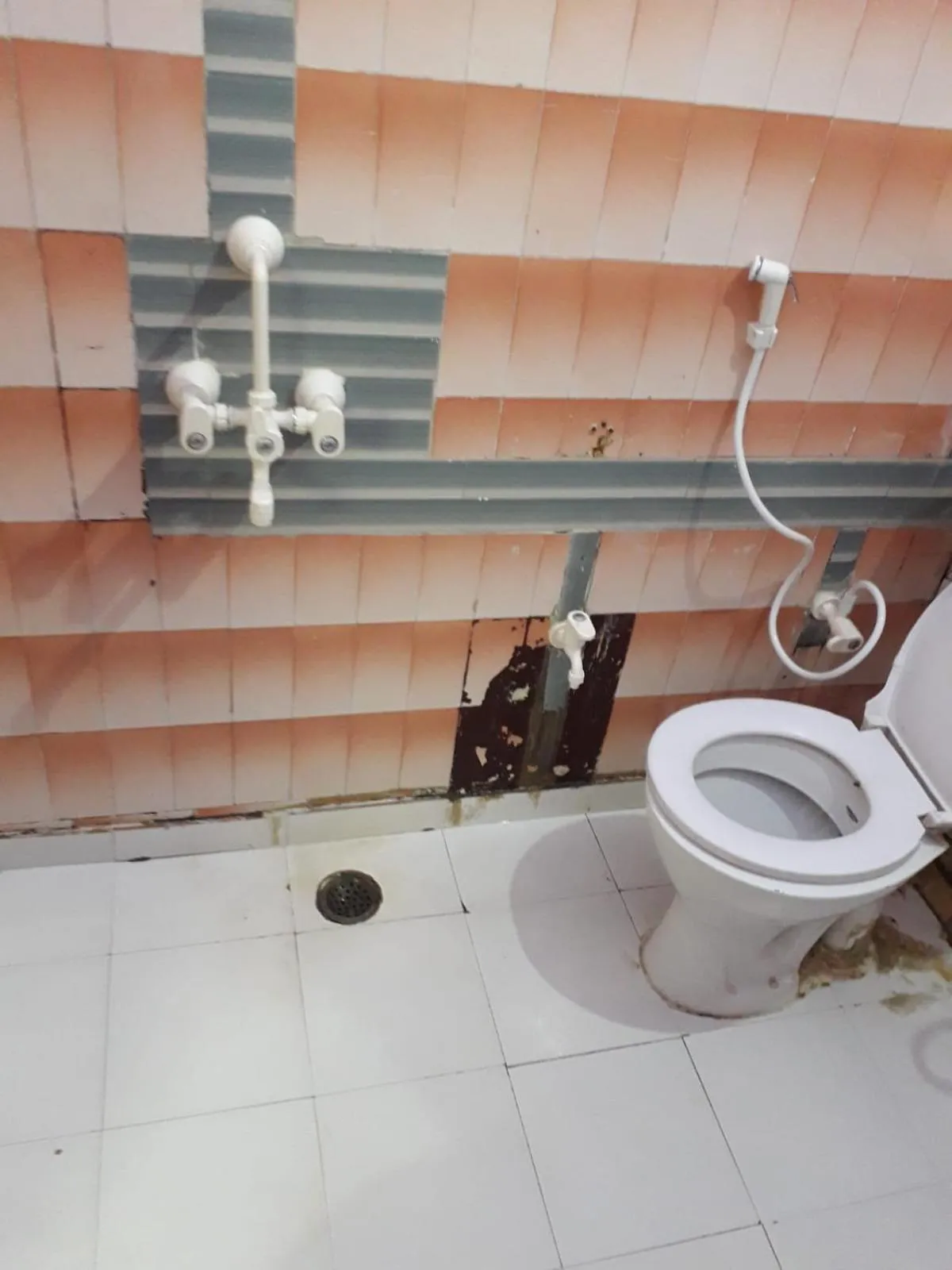 Toilet in Hotel Raj