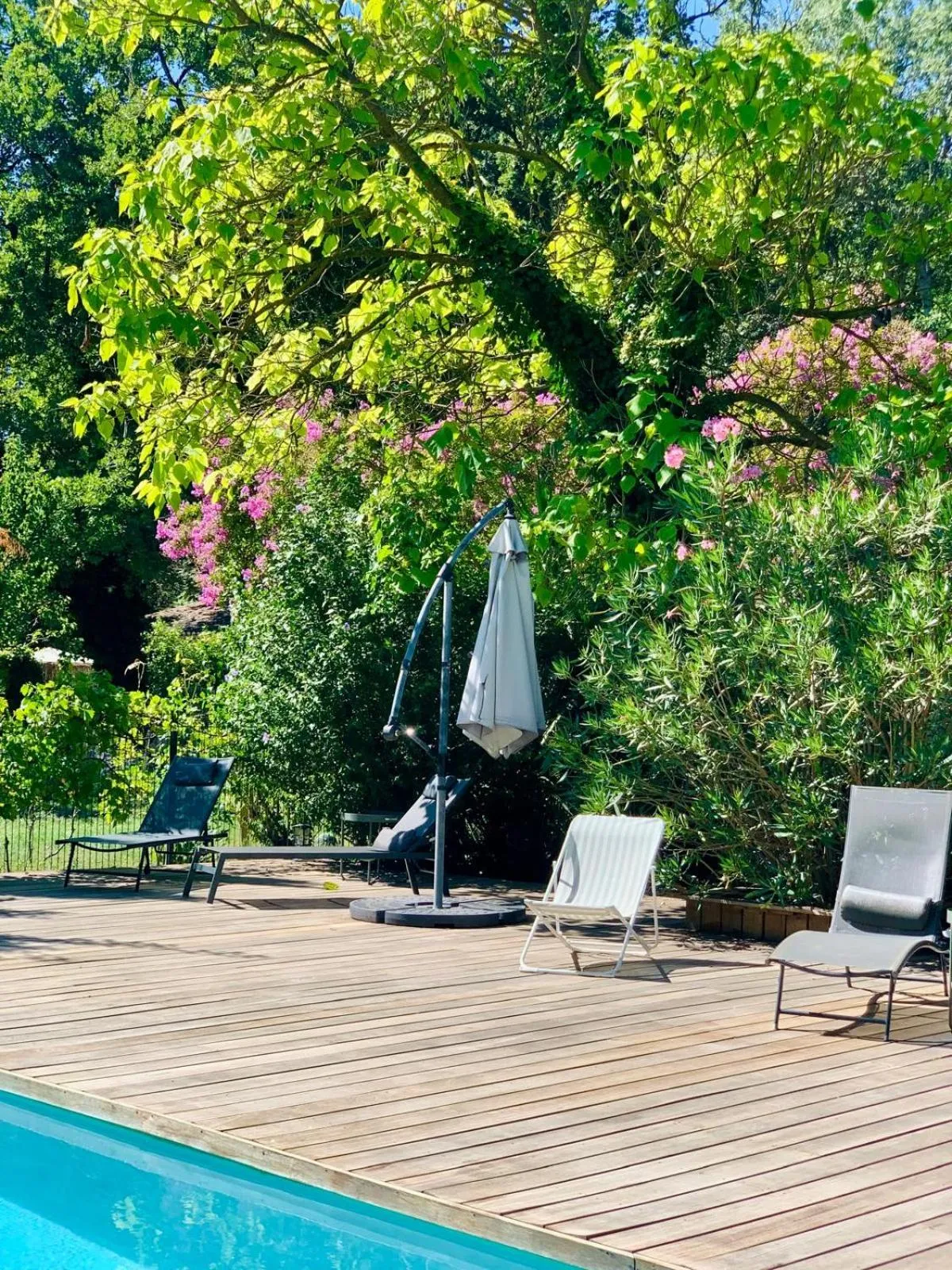 Swimming pool in Le Pavillon Vert - B&B