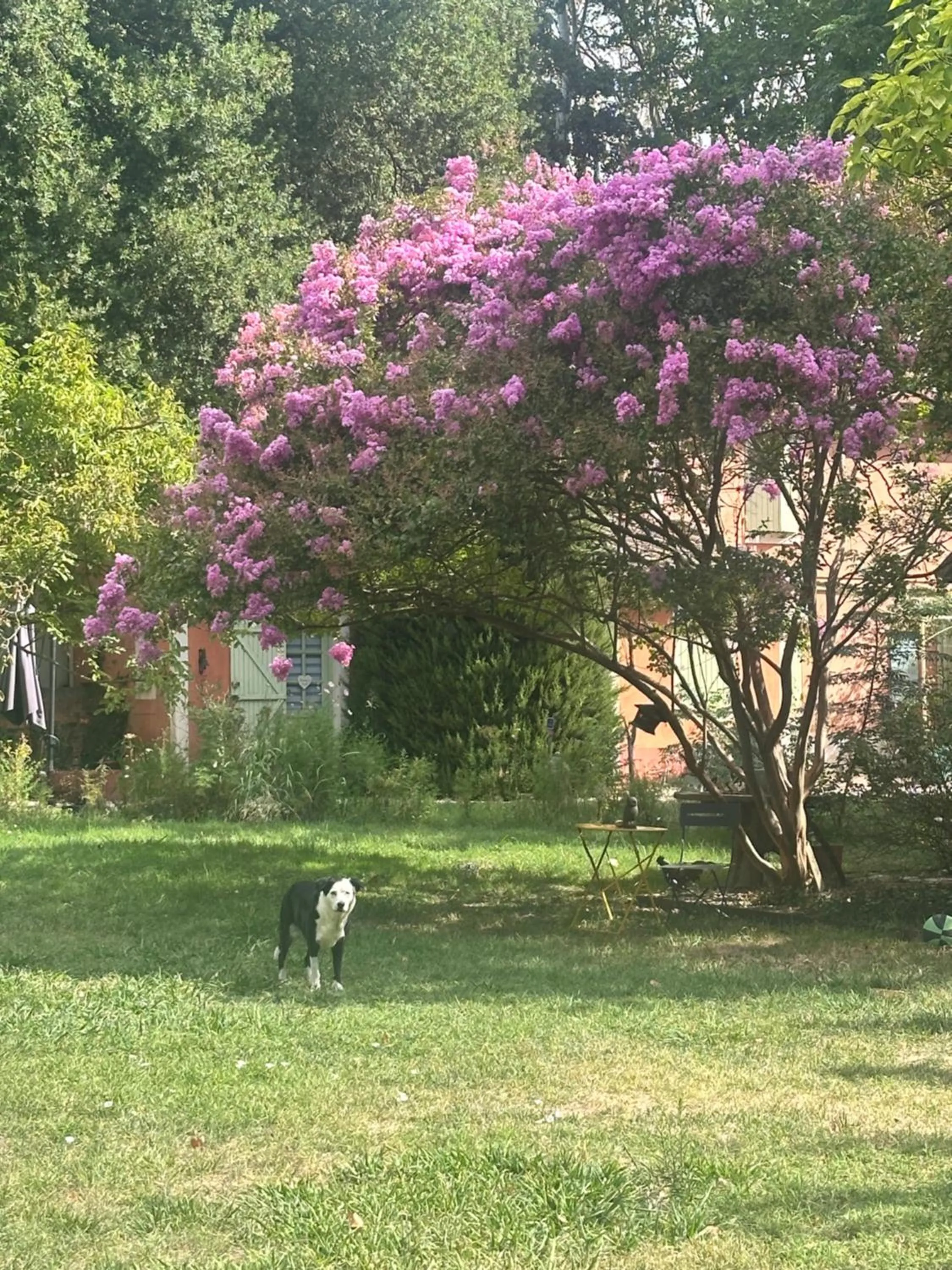 Garden in Le Pavillon Vert - B&B