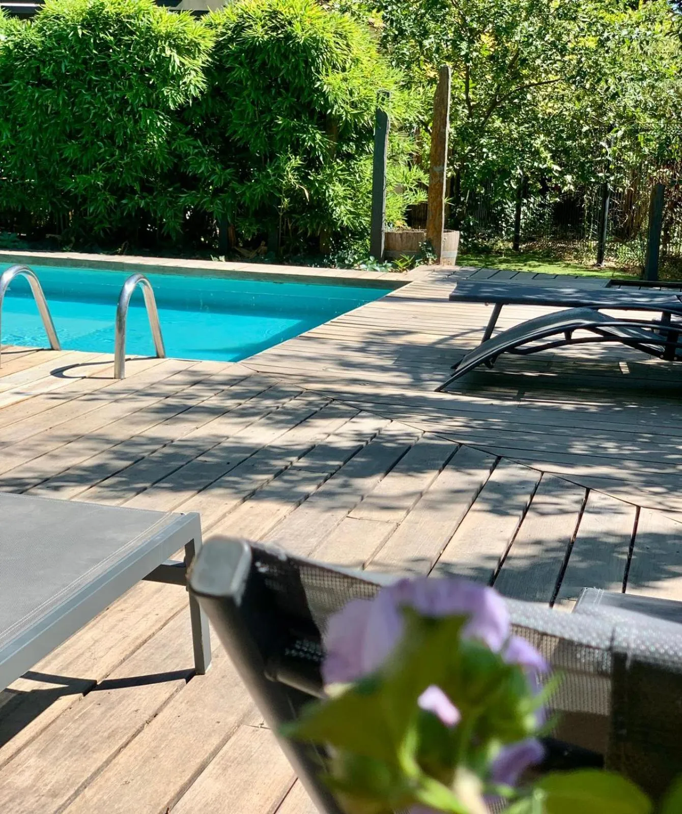 Swimming pool in Le Pavillon Vert - B&B