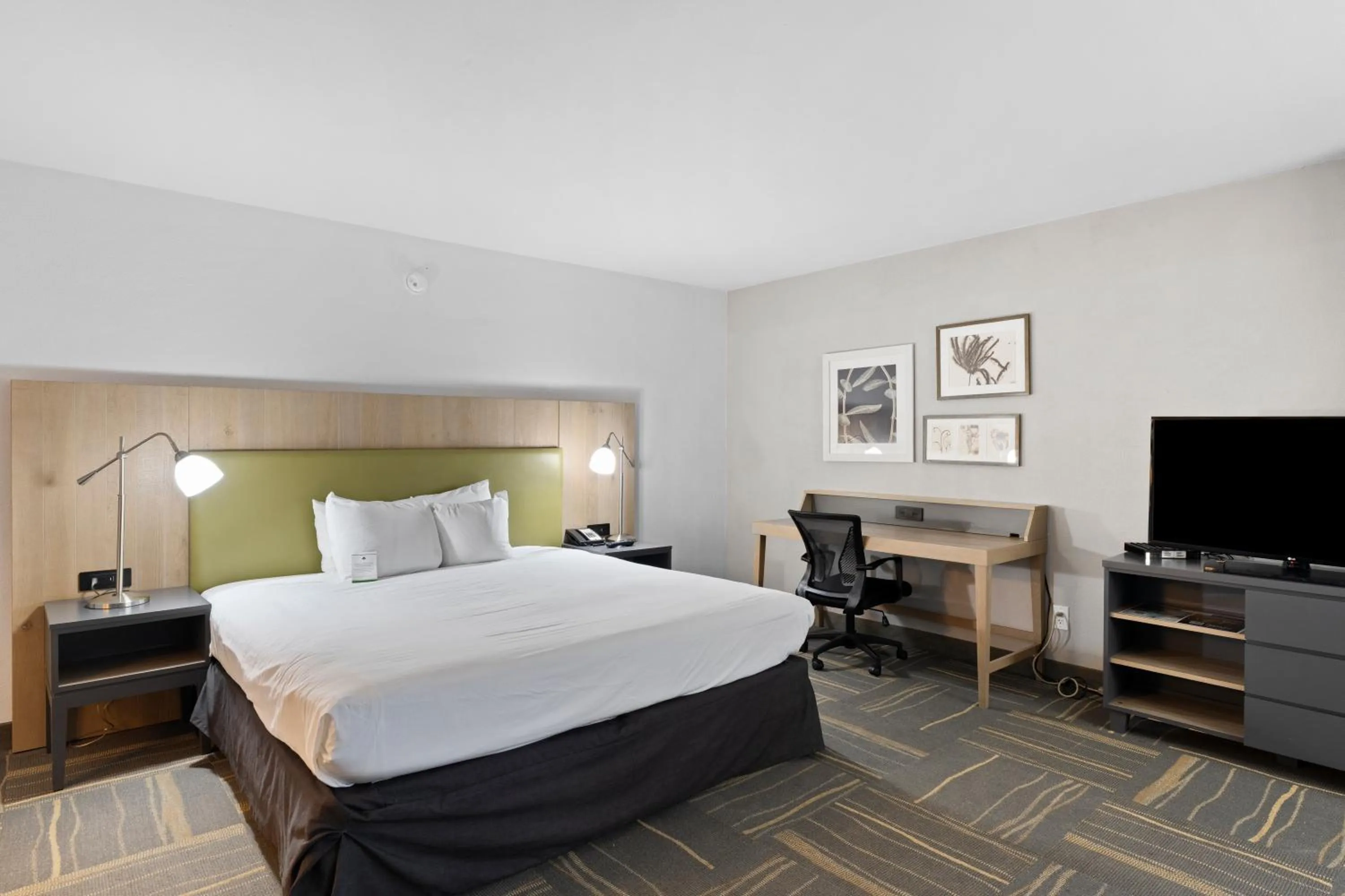 Bed in GreenTree Inn & Suites Phoenix Sky Harbor