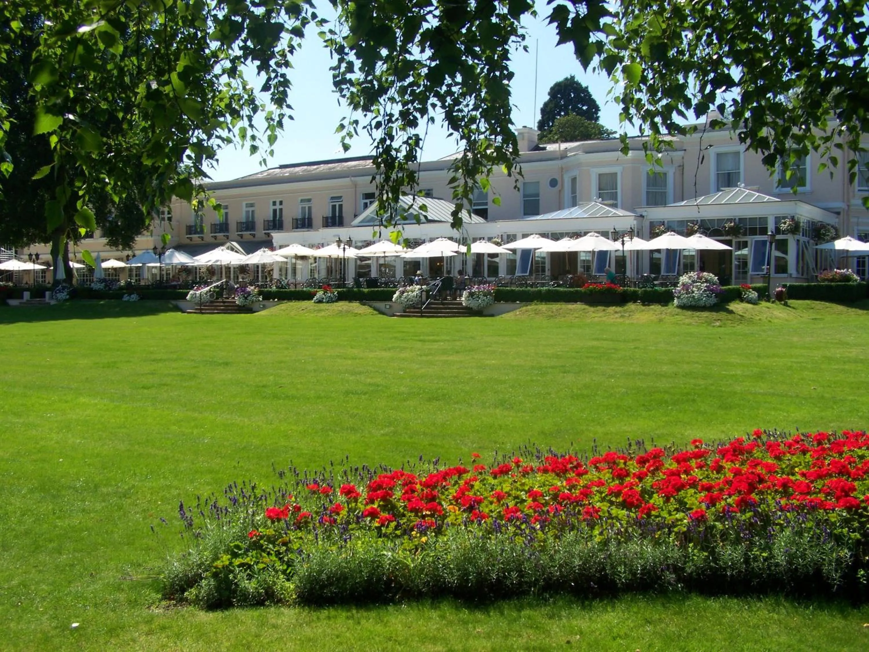 Garden in Phyllis Court Members Club