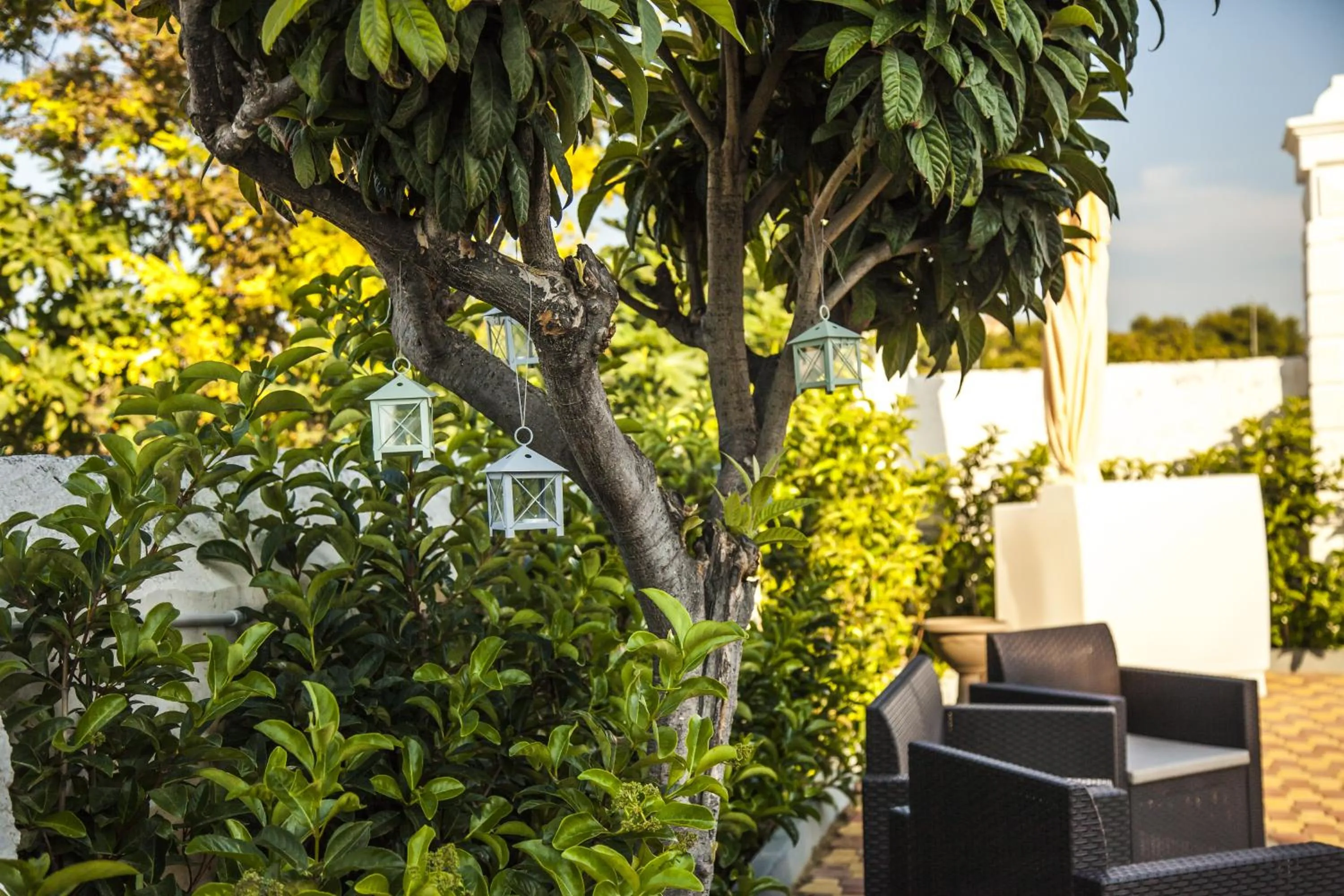 Garden in VILLA ADELAIDE SUITE & ROOM