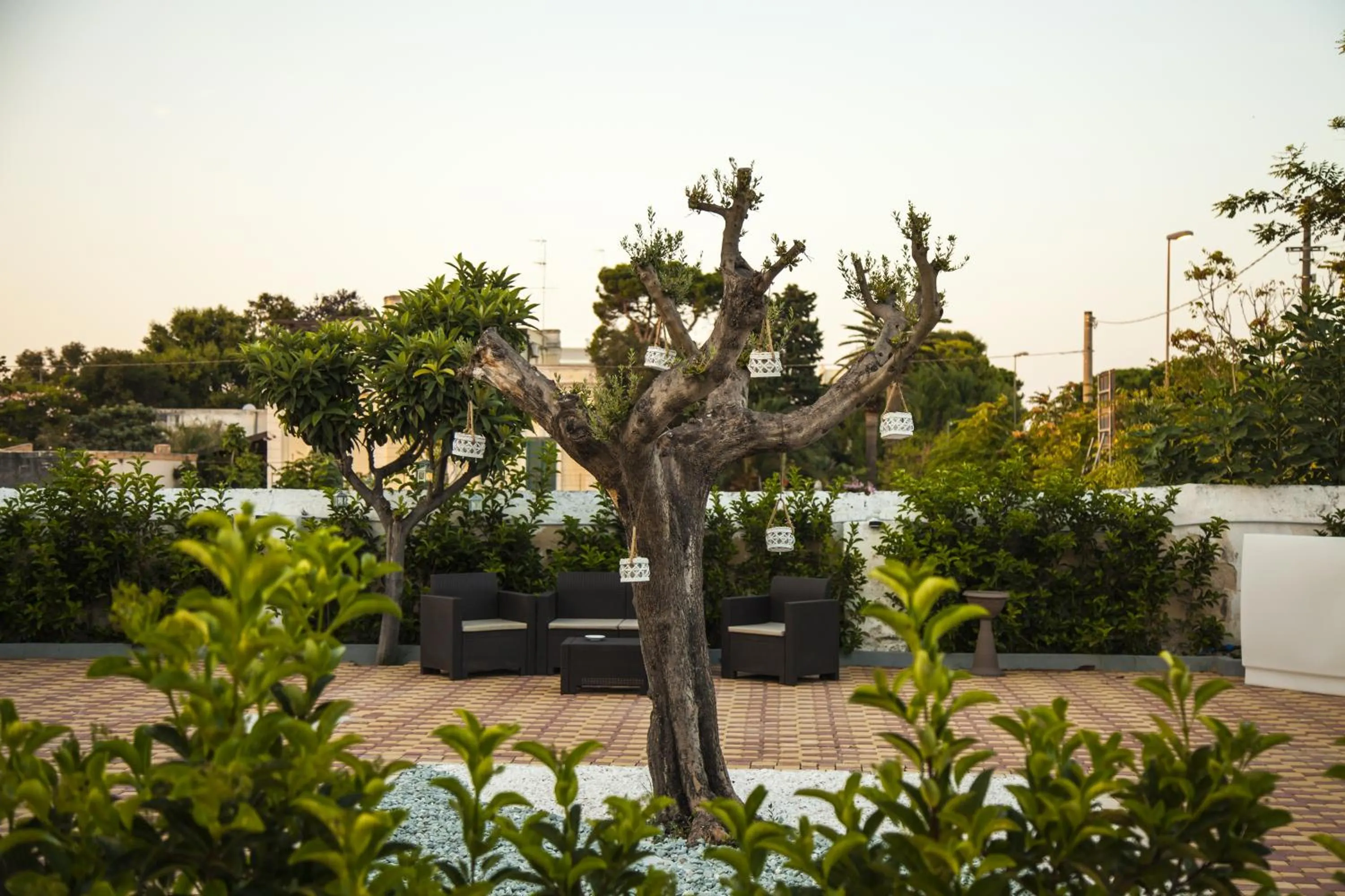 Garden in VILLA ADELAIDE SUITE & ROOM