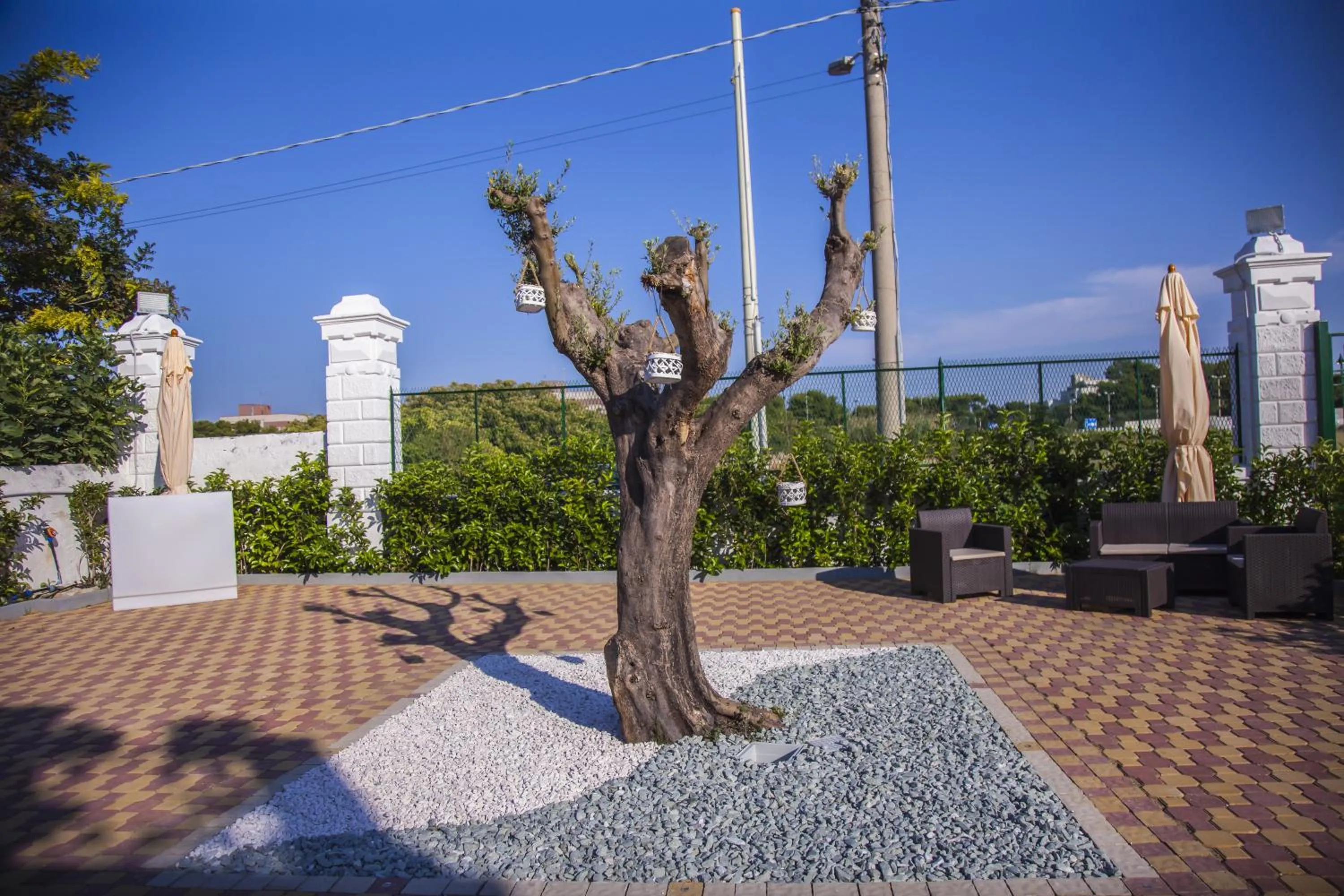 Garden in VILLA ADELAIDE SUITE & ROOM