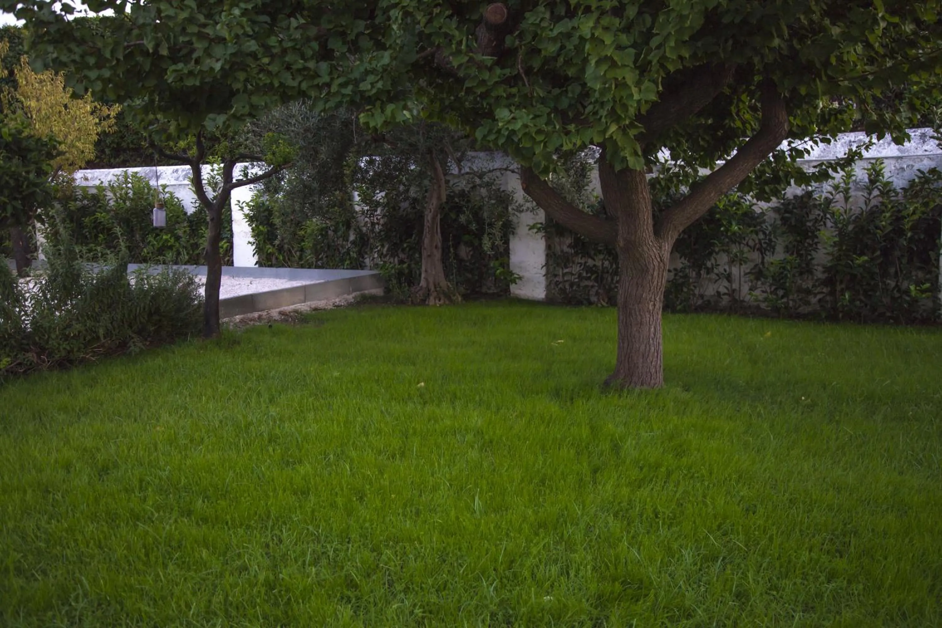 Garden in VILLA ADELAIDE SUITE & ROOM