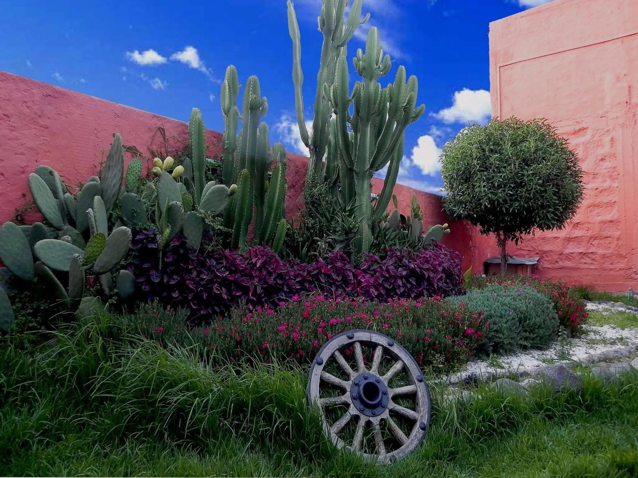 Garden in Las Torres de Ugarte