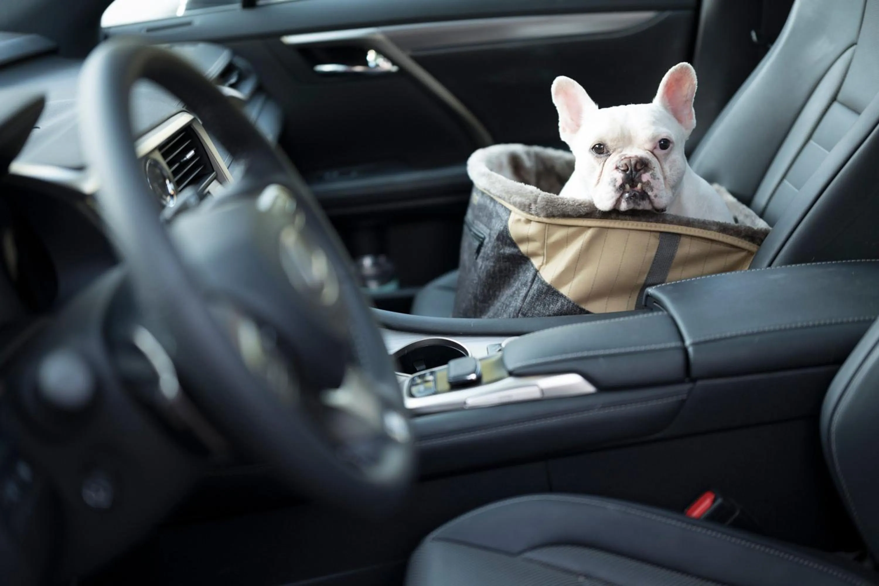 Other in St. Regis Aspen Resort