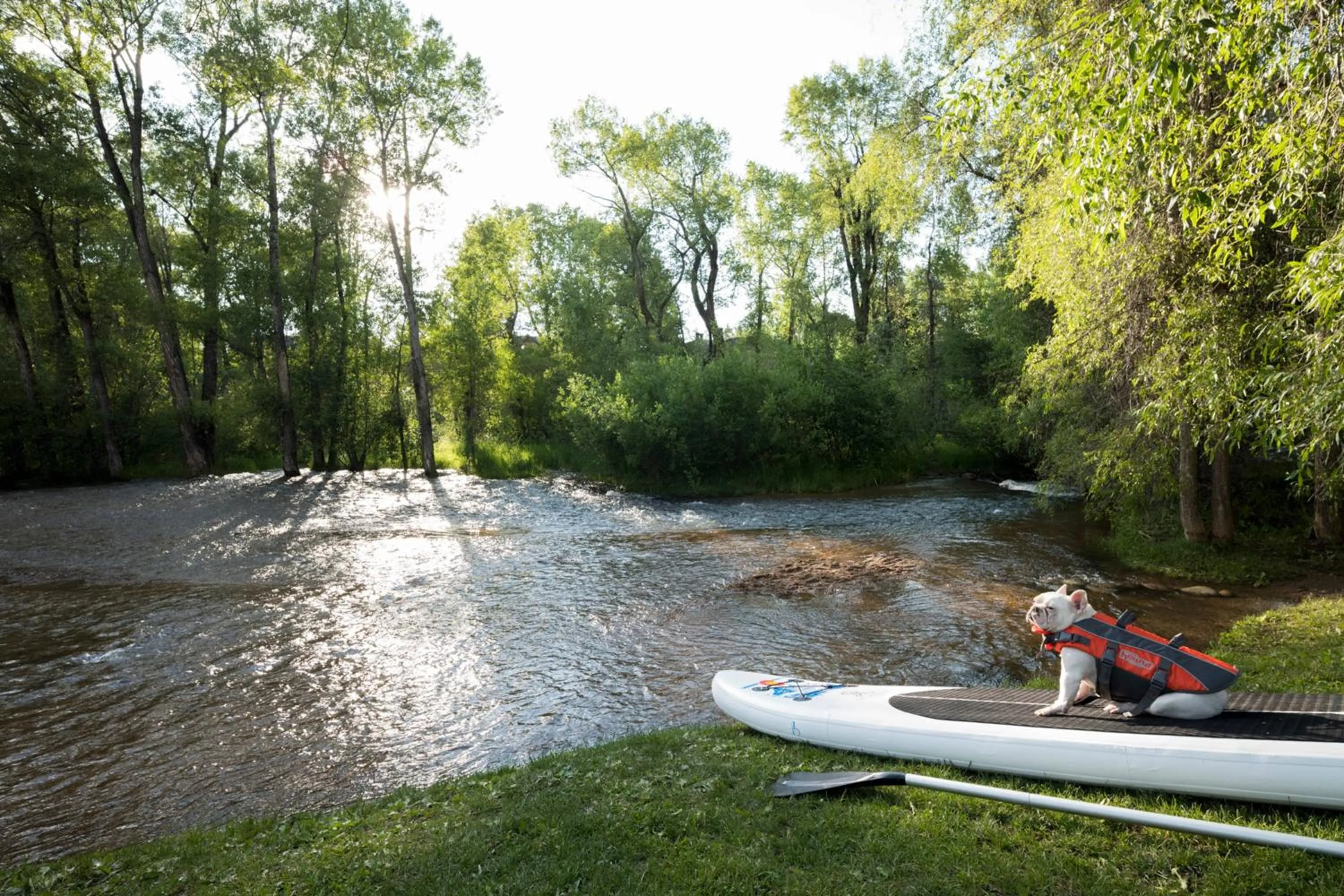 Other in St. Regis Aspen Resort