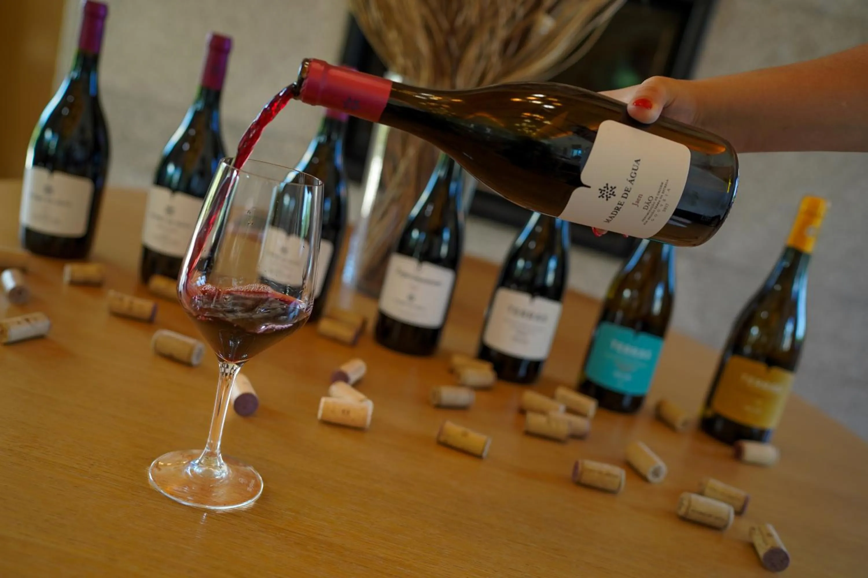 Activities in Madre de Água Hotel Rural de Charme