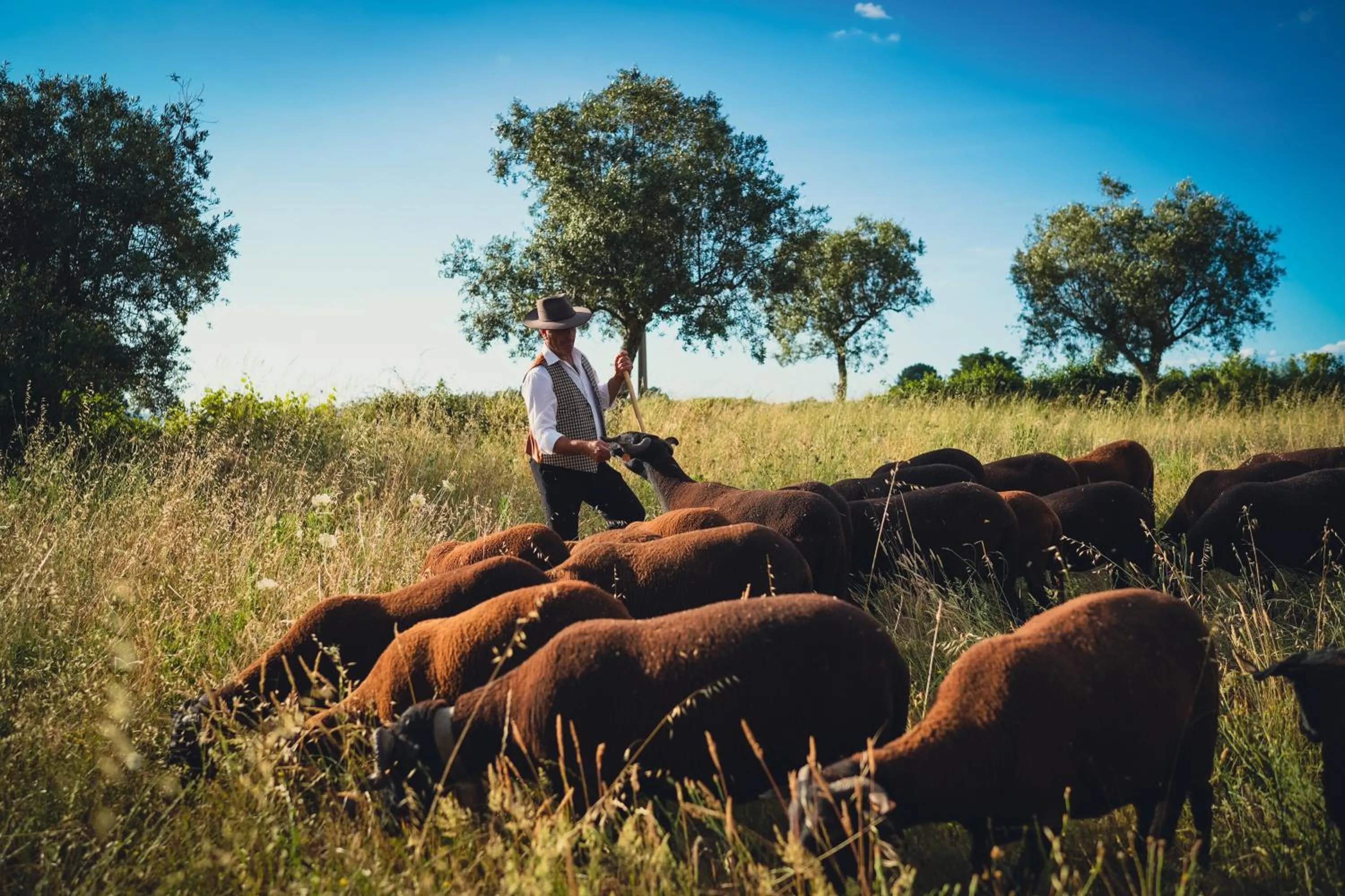 Day in Madre de Água Hotel Rural de Charme