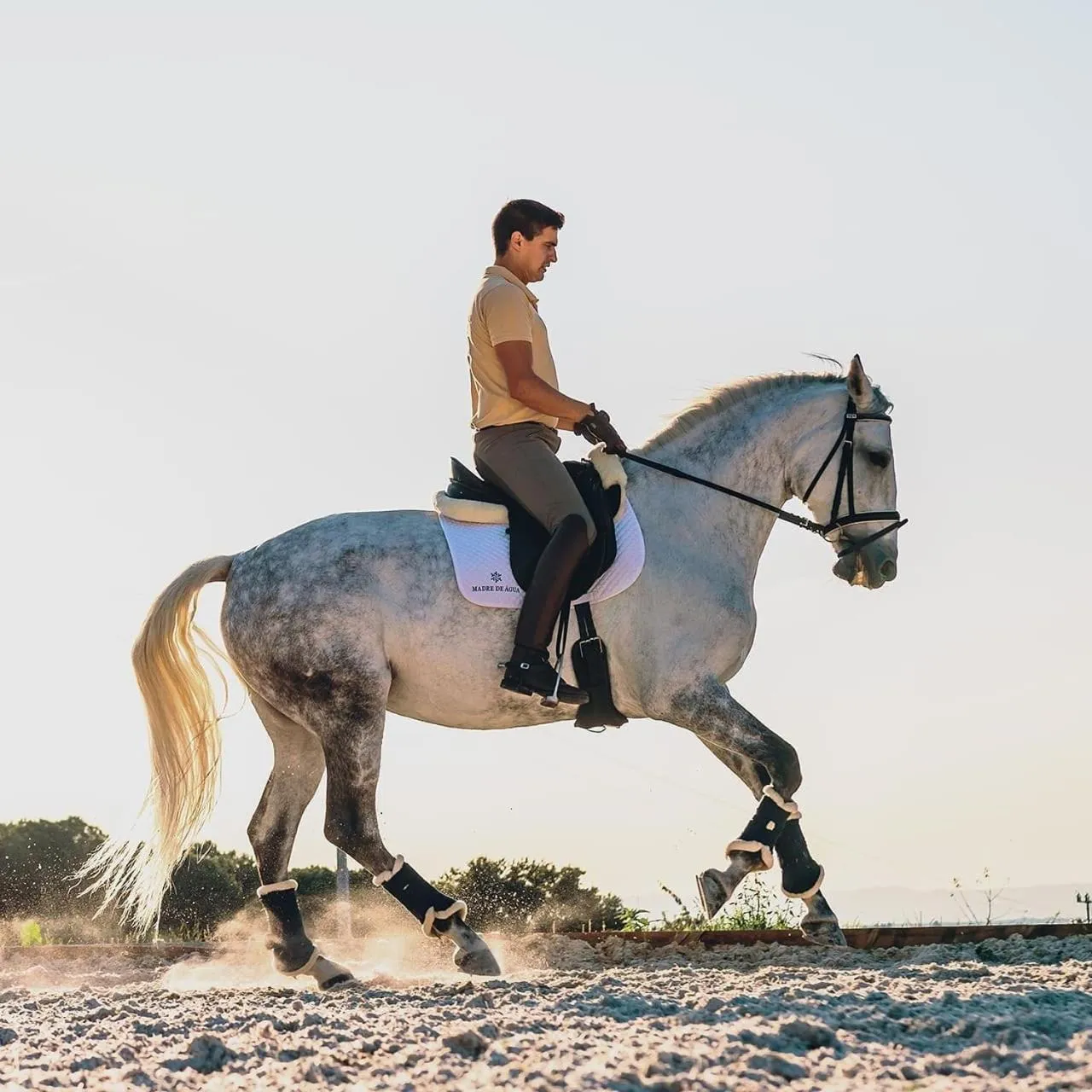 Horse-riding in Madre de Água Hotel Rural de Charme