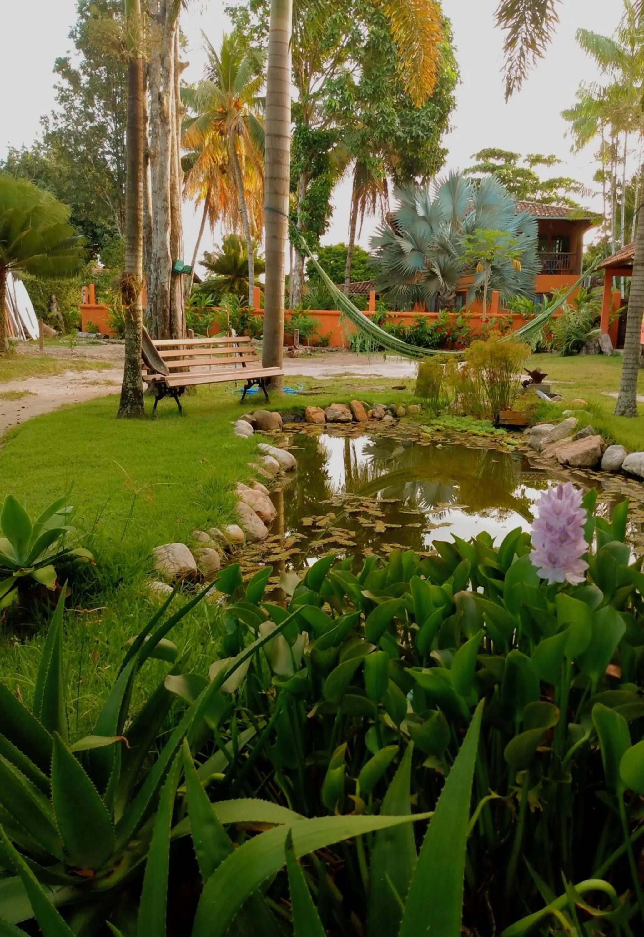 Garden in Pousada Atlântida