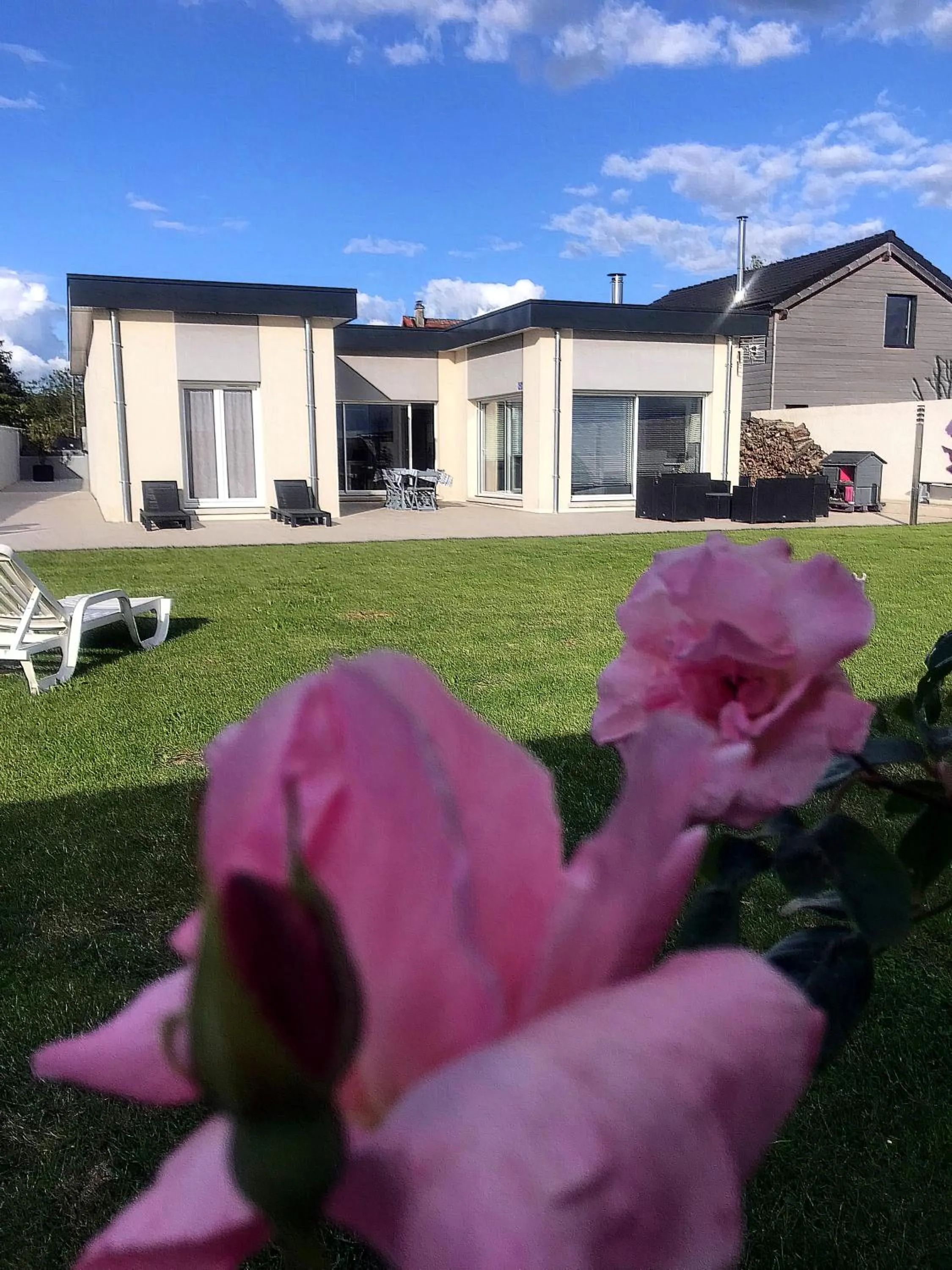 Garden in le chat botté77