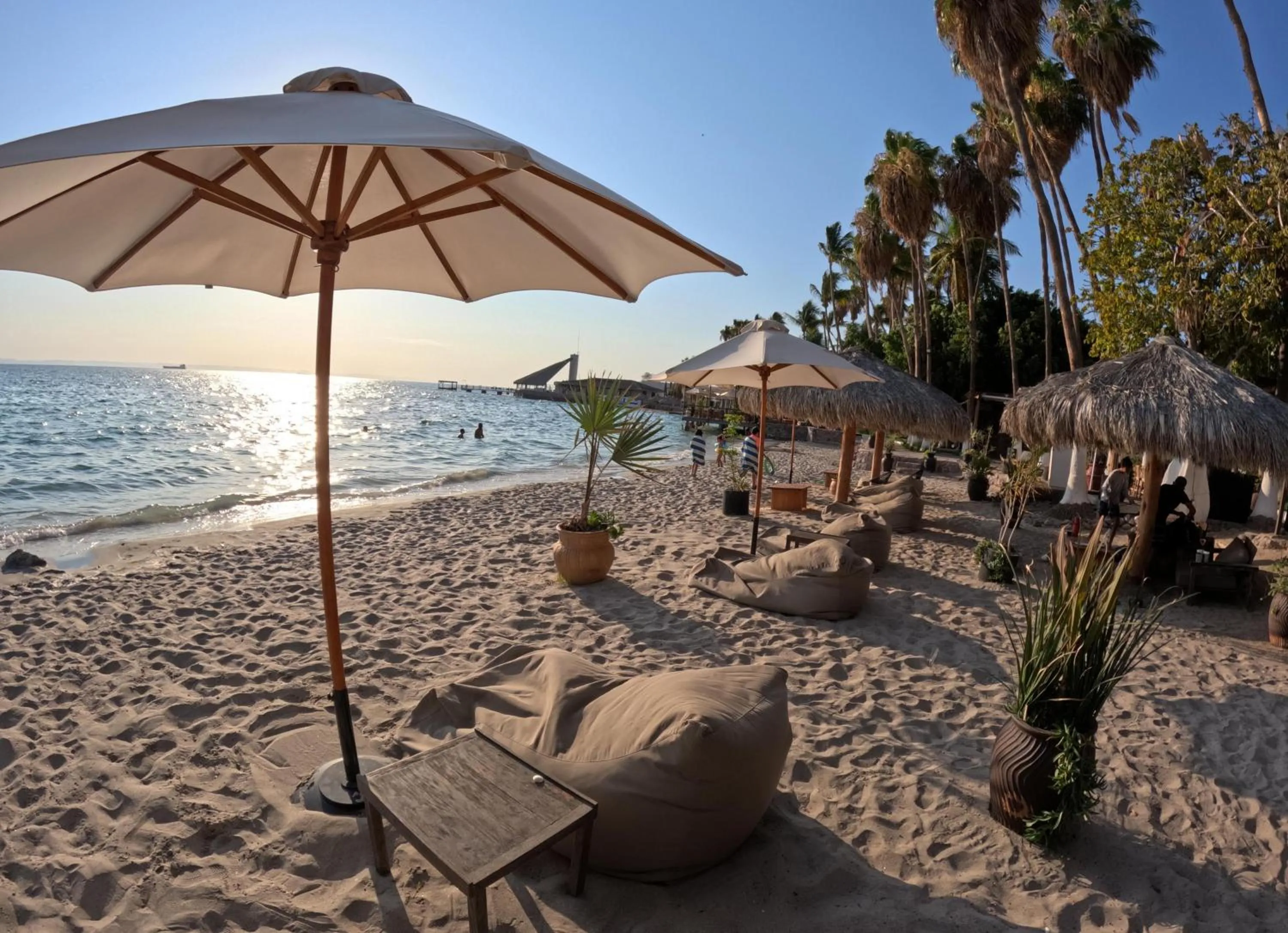 Beach in La Concha Beach Hotel & Club