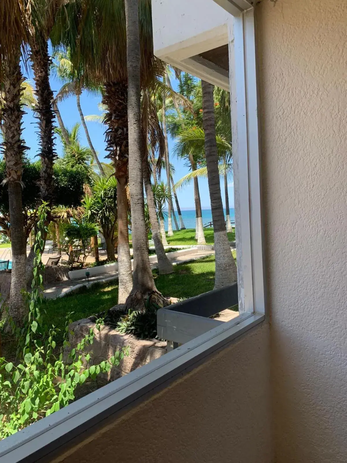 Standard Plus Double Room in La Concha Beach Hotel & Club Standard Plus Double Room in La Concha Beach Hotel & Club