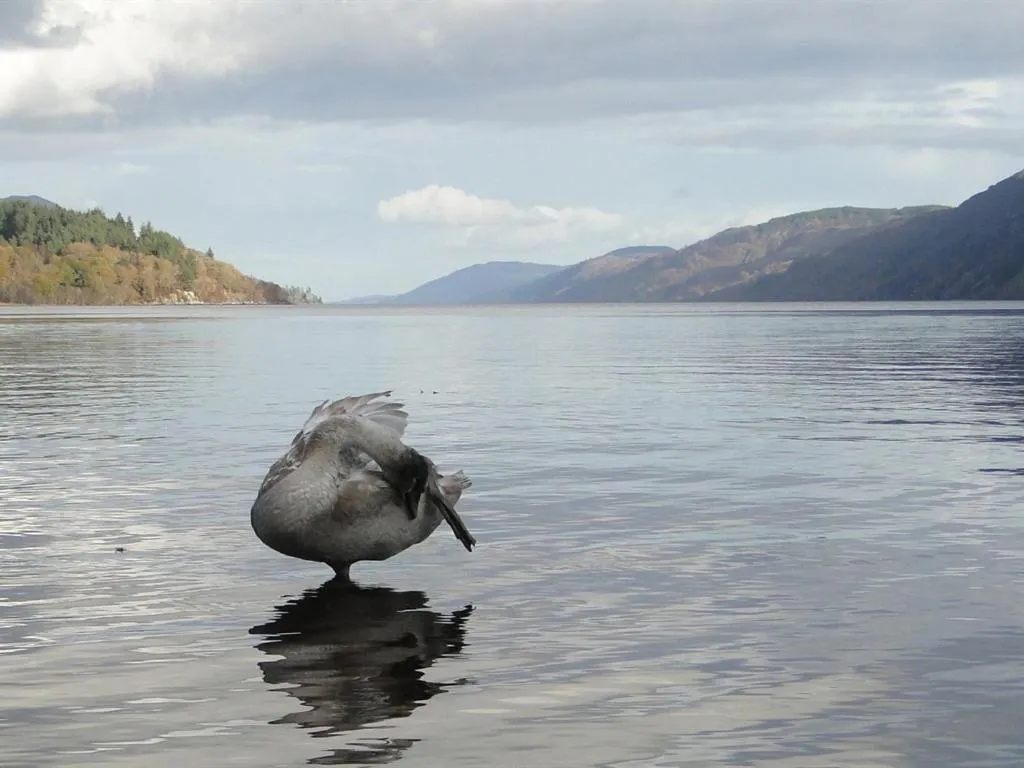 Neighbourhood in Binnilidh Mhor B&B