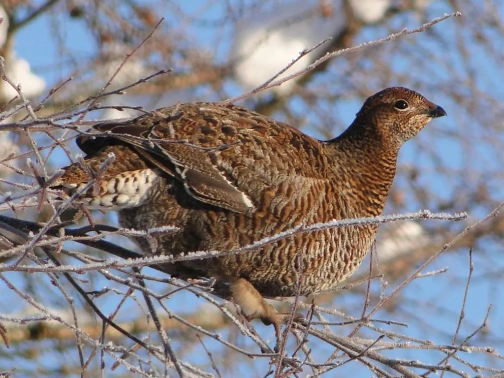 View (from property/room) in Binnilidh Mhor B&B