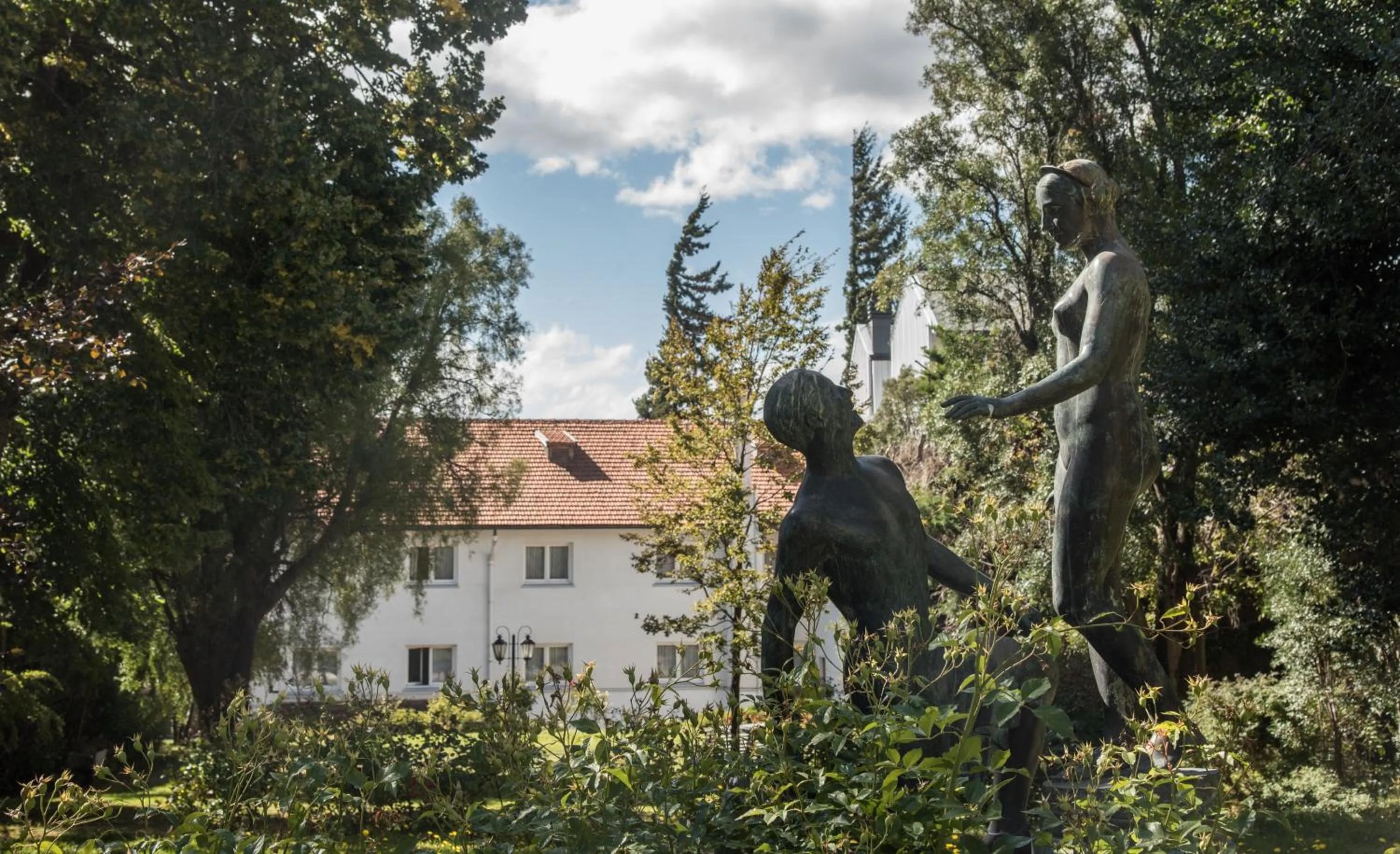 Garden in Hotel Tres Reyes
