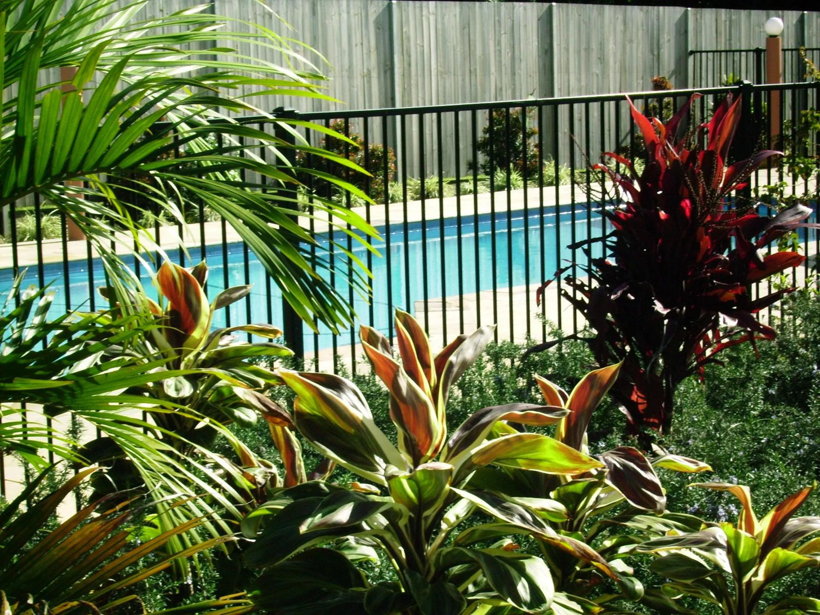 Swimming pool in Seminara Apartments Coochiemudlo Island