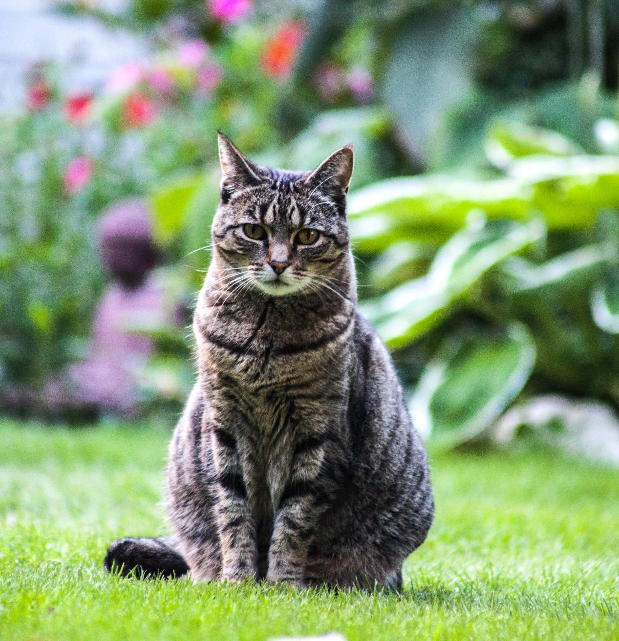 Garden in The Loft Bed and Breakfast