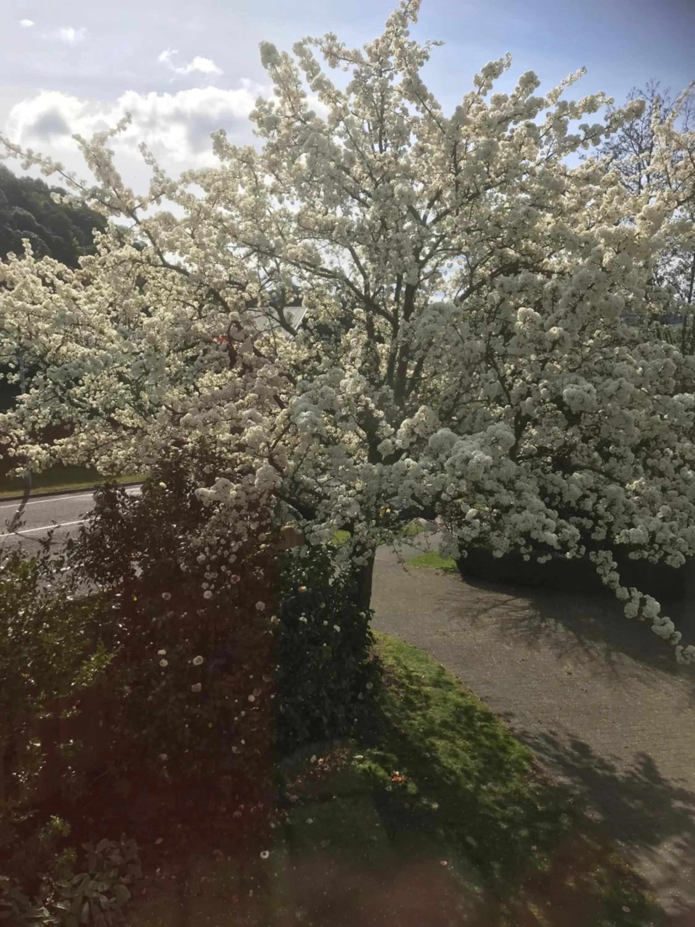 View (from property/room) in The Loft Bed and Breakfast