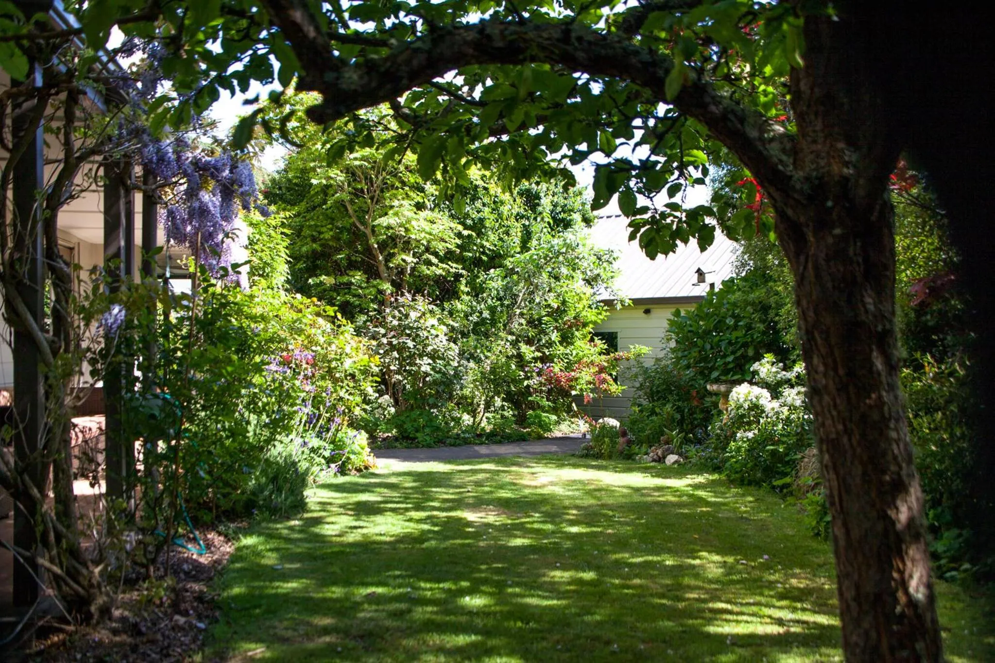 Garden in The Loft Bed and Breakfast