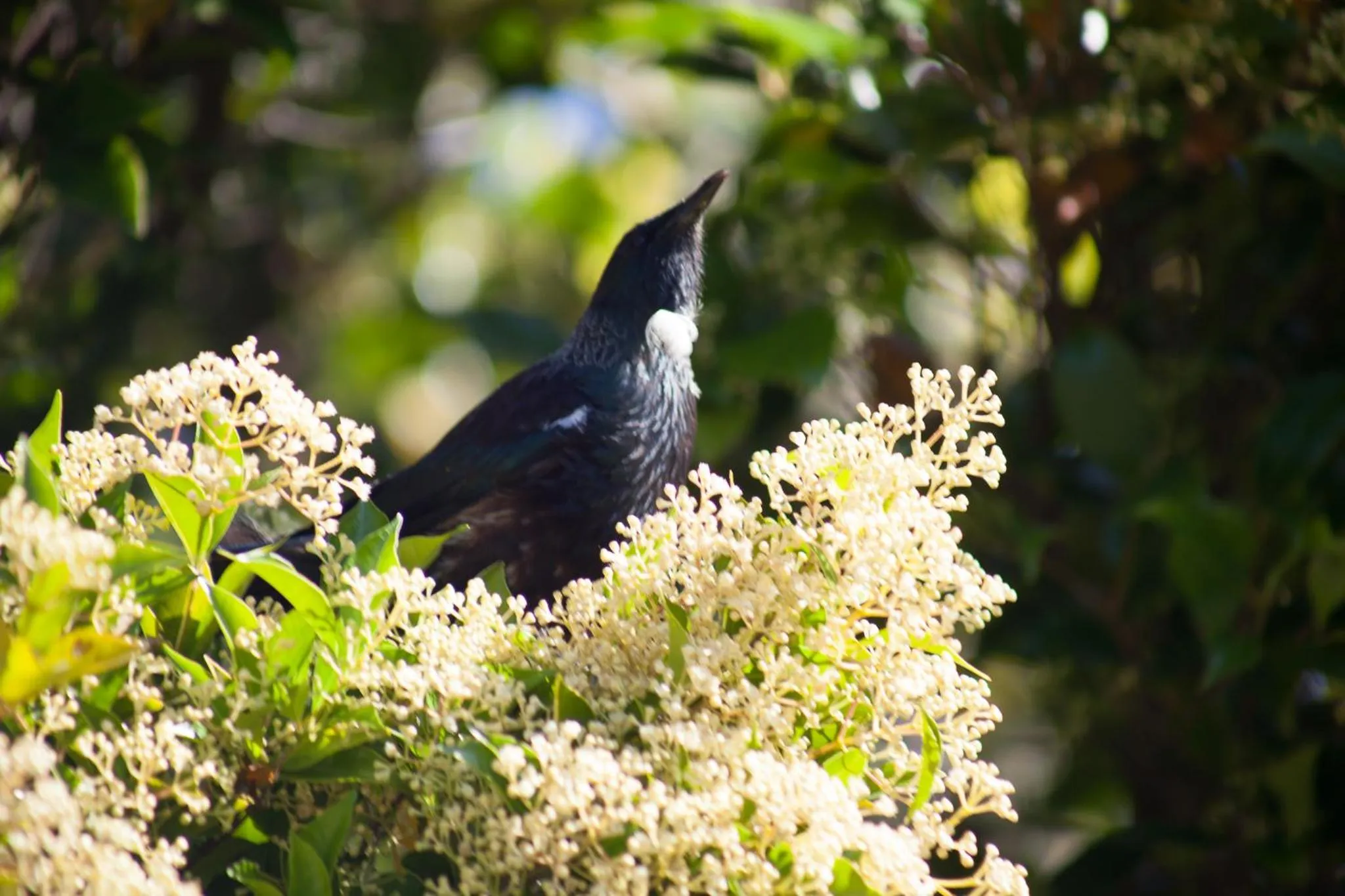 Natural landscape in The Loft Bed and Breakfast
