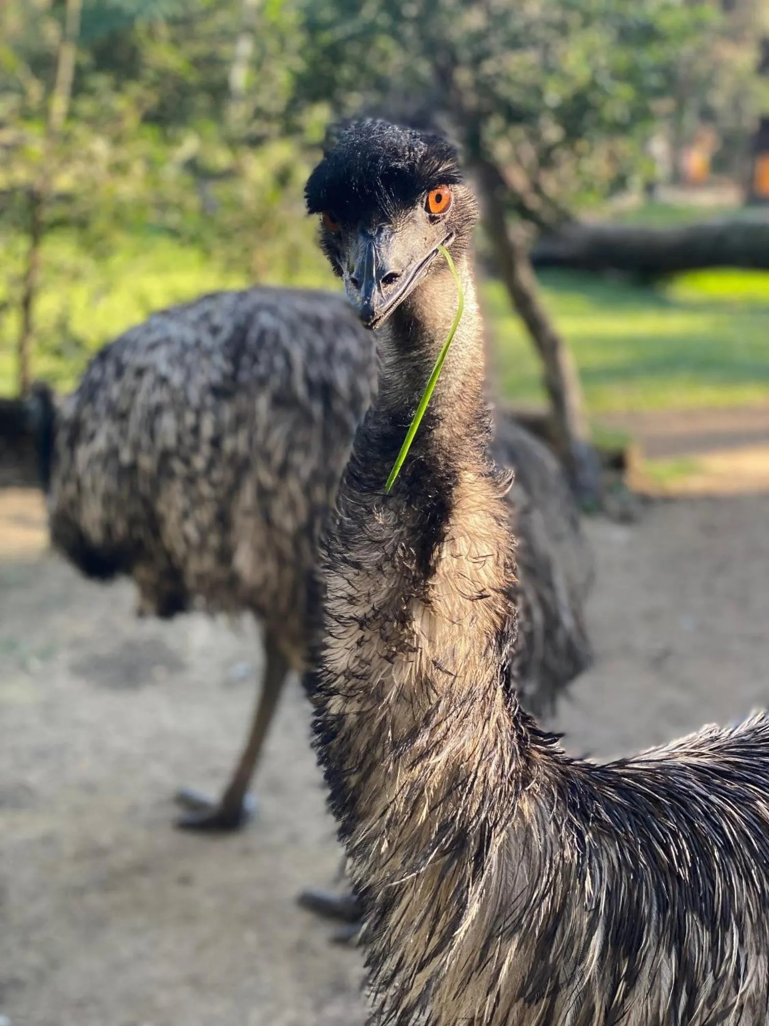 Nearby landmark in Cityville Apartments & Motel