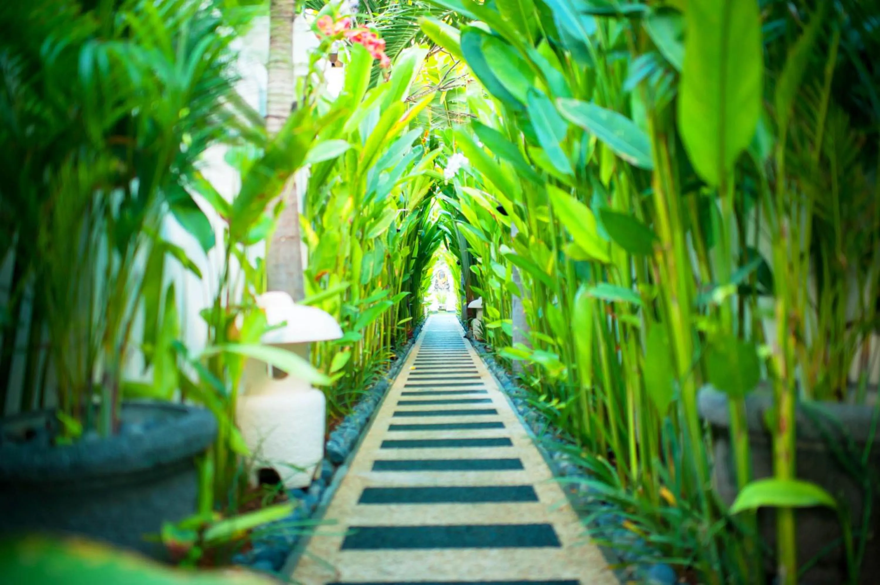 Garden in Awila Villas Kuta by The Wina Resorts