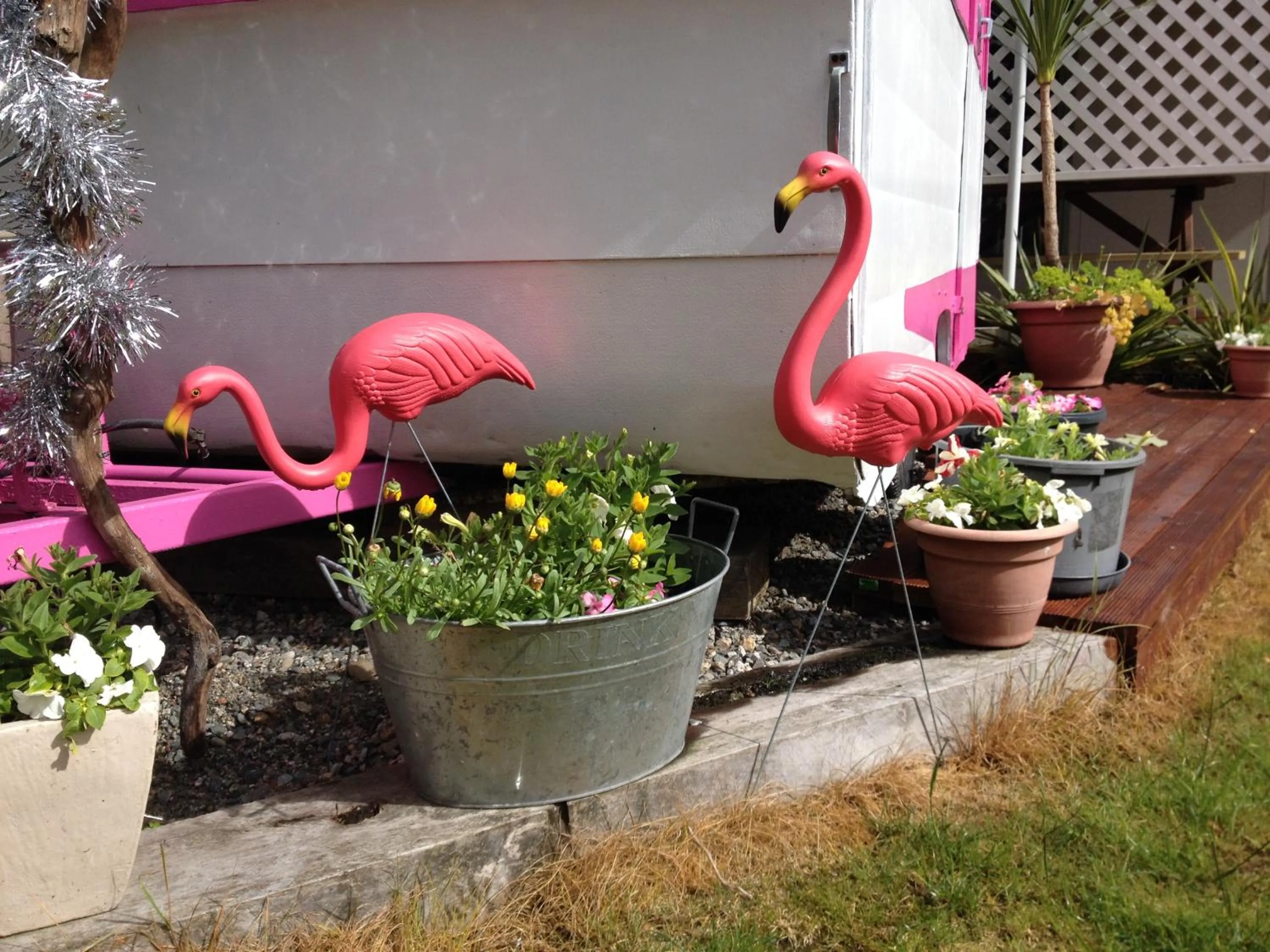 Decorative detail in Tripinn Motel & Share Accommodation