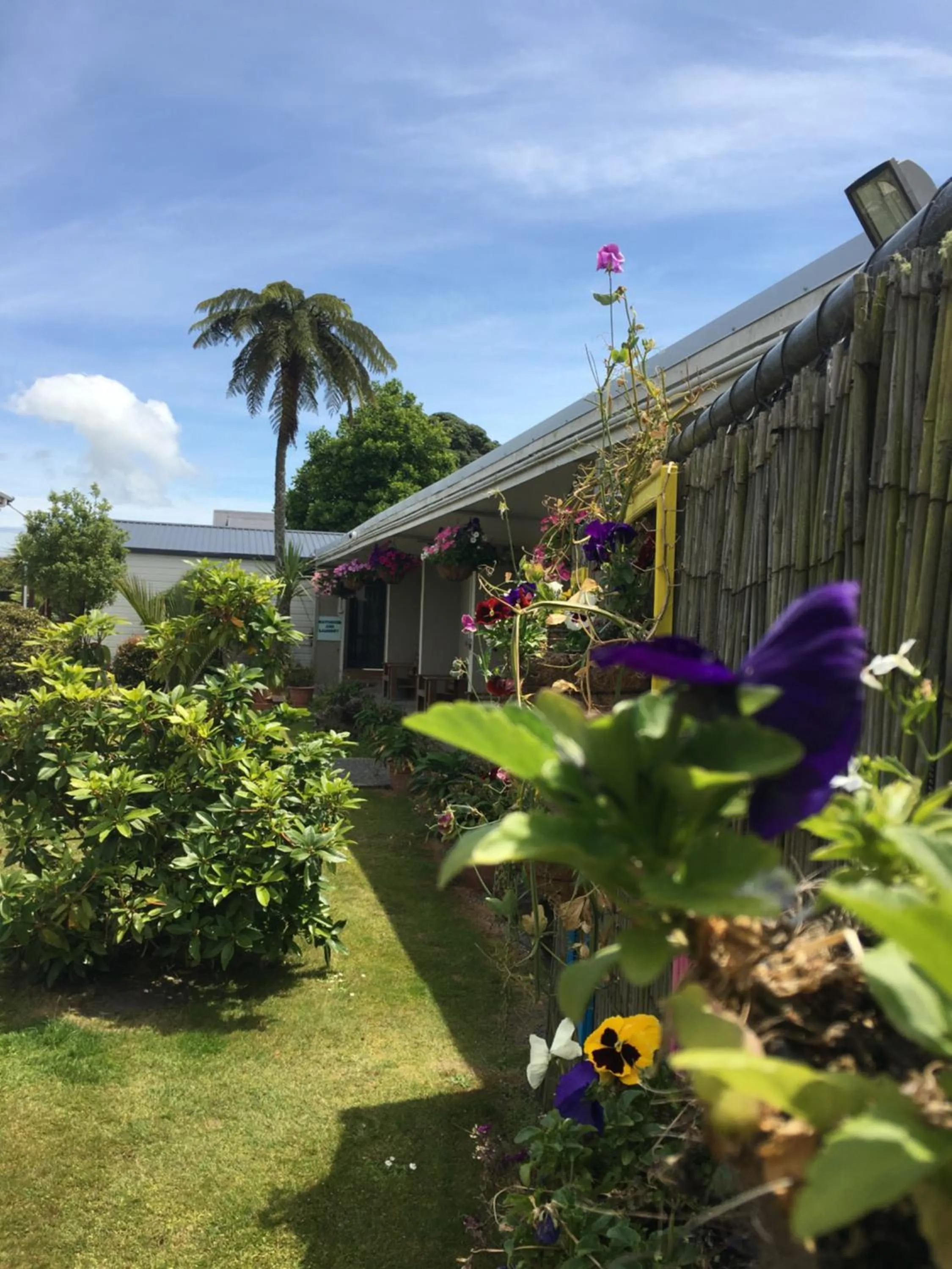 Property building in Tripinn Motel & Share Accommodation