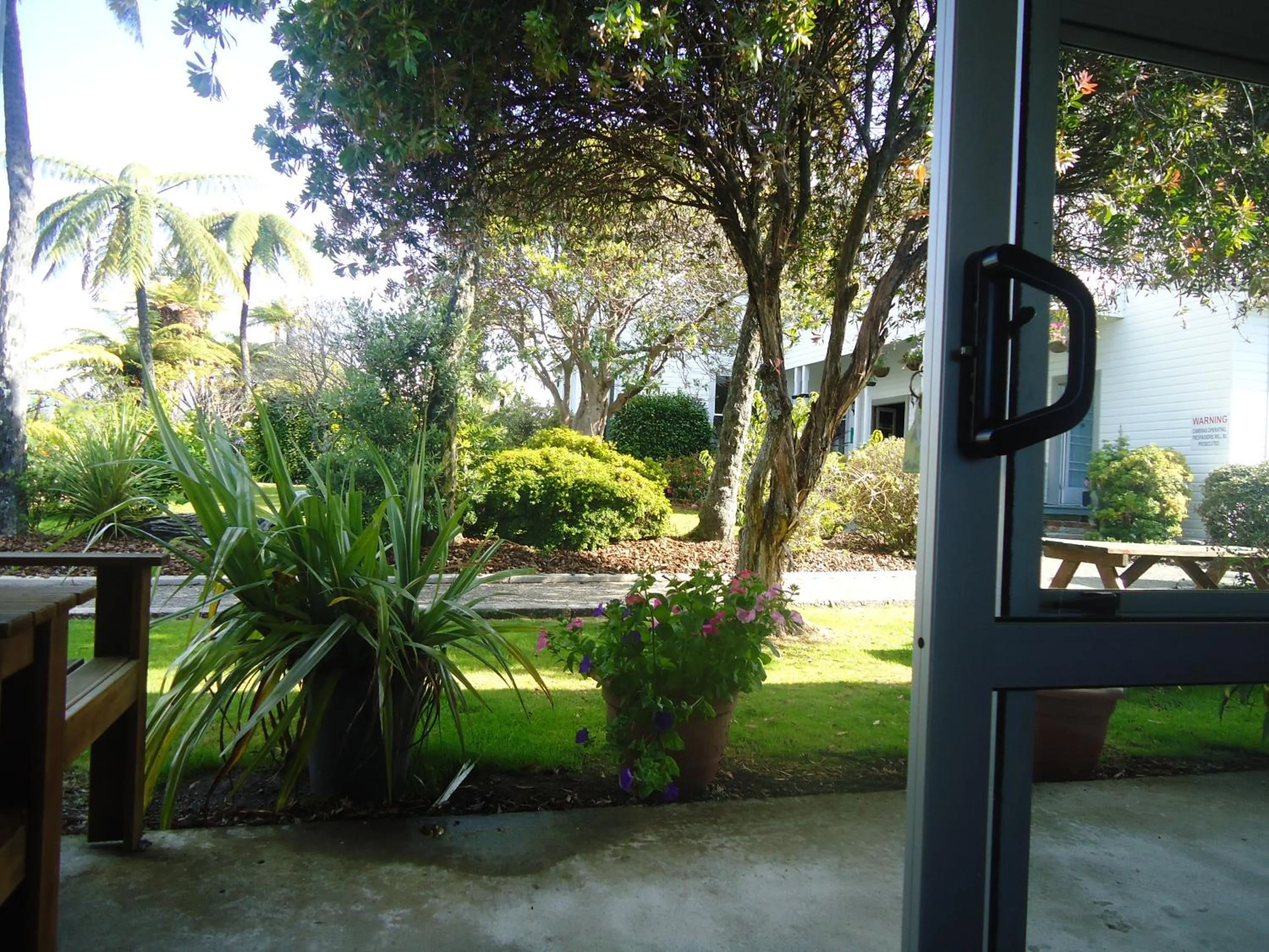 Garden in Tripinn Motel & Share Accommodation