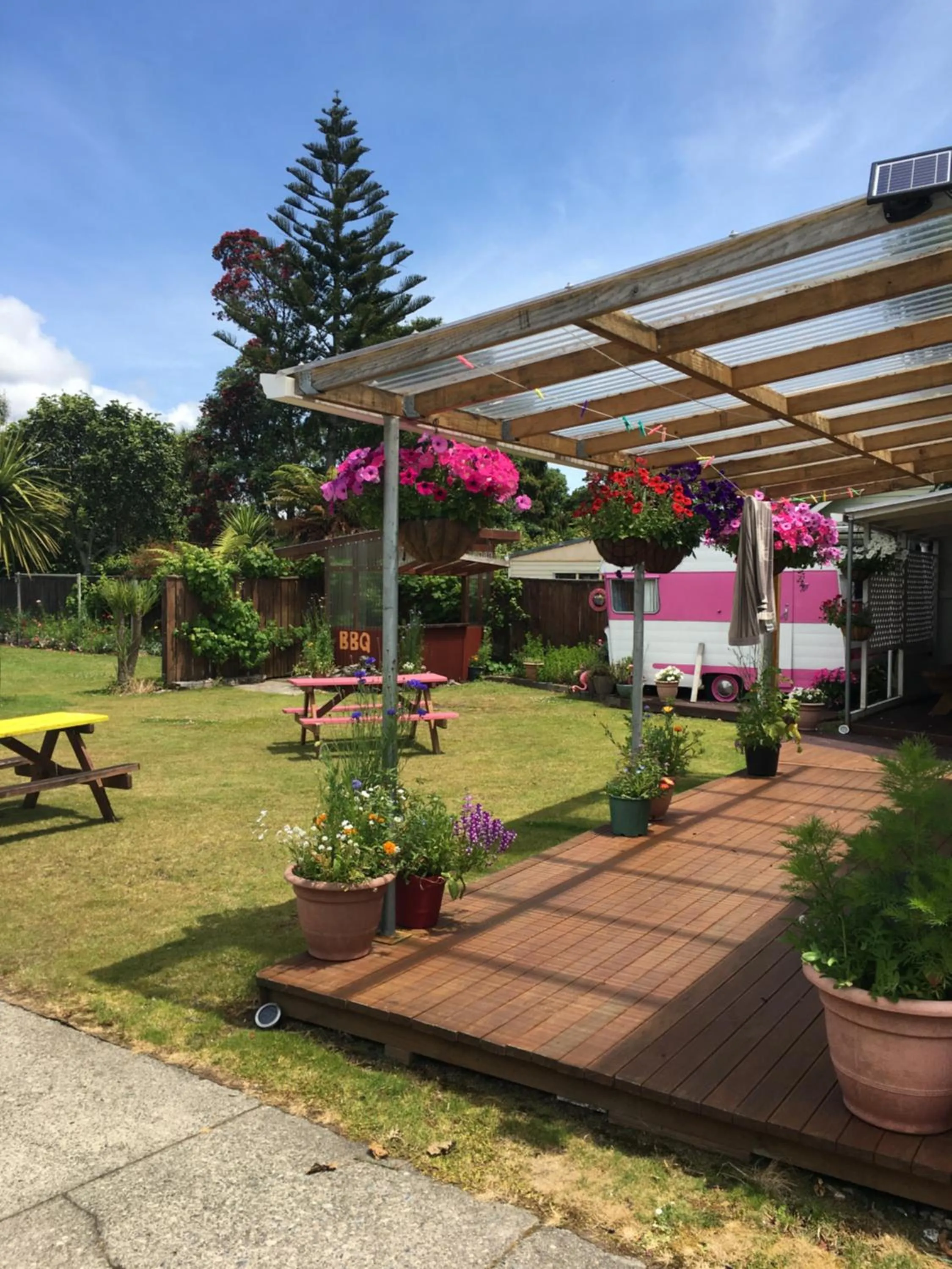 Garden in Tripinn Motel & Share Accommodation