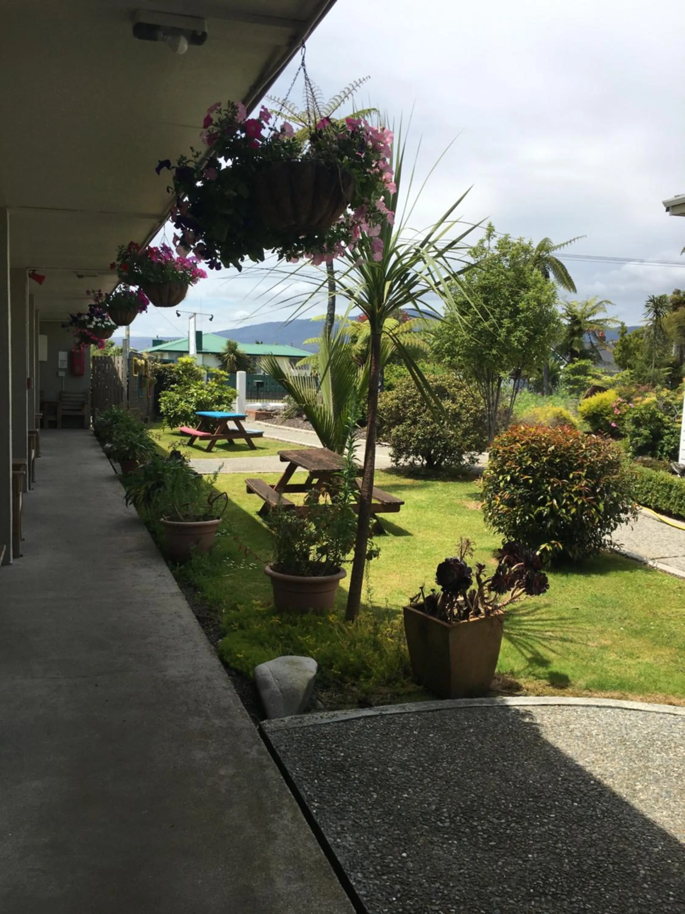 Garden in Tripinn Motel & Share Accommodation
