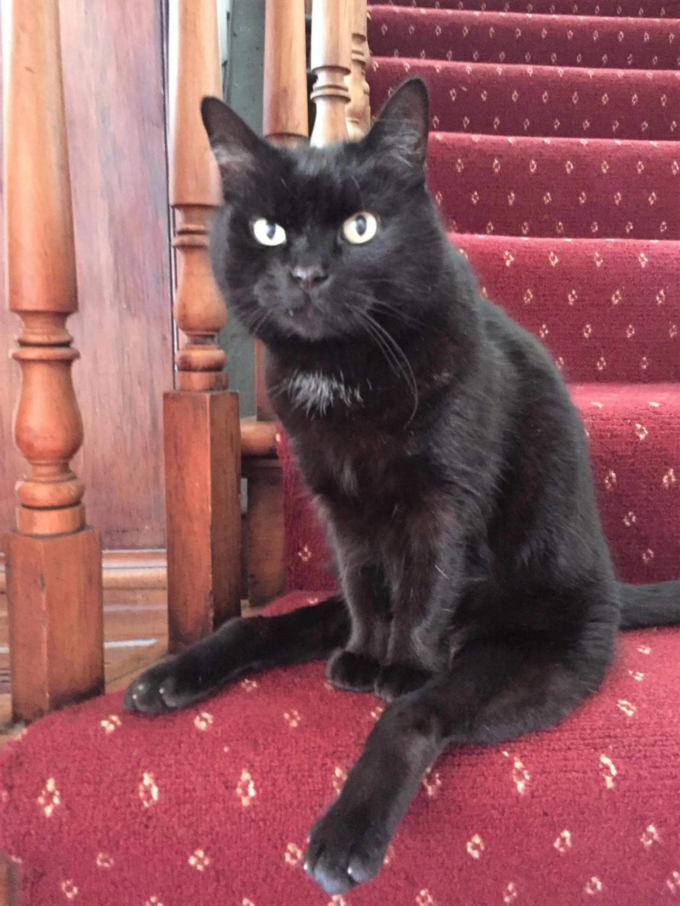 Tripinn Motel & Share Accommodation