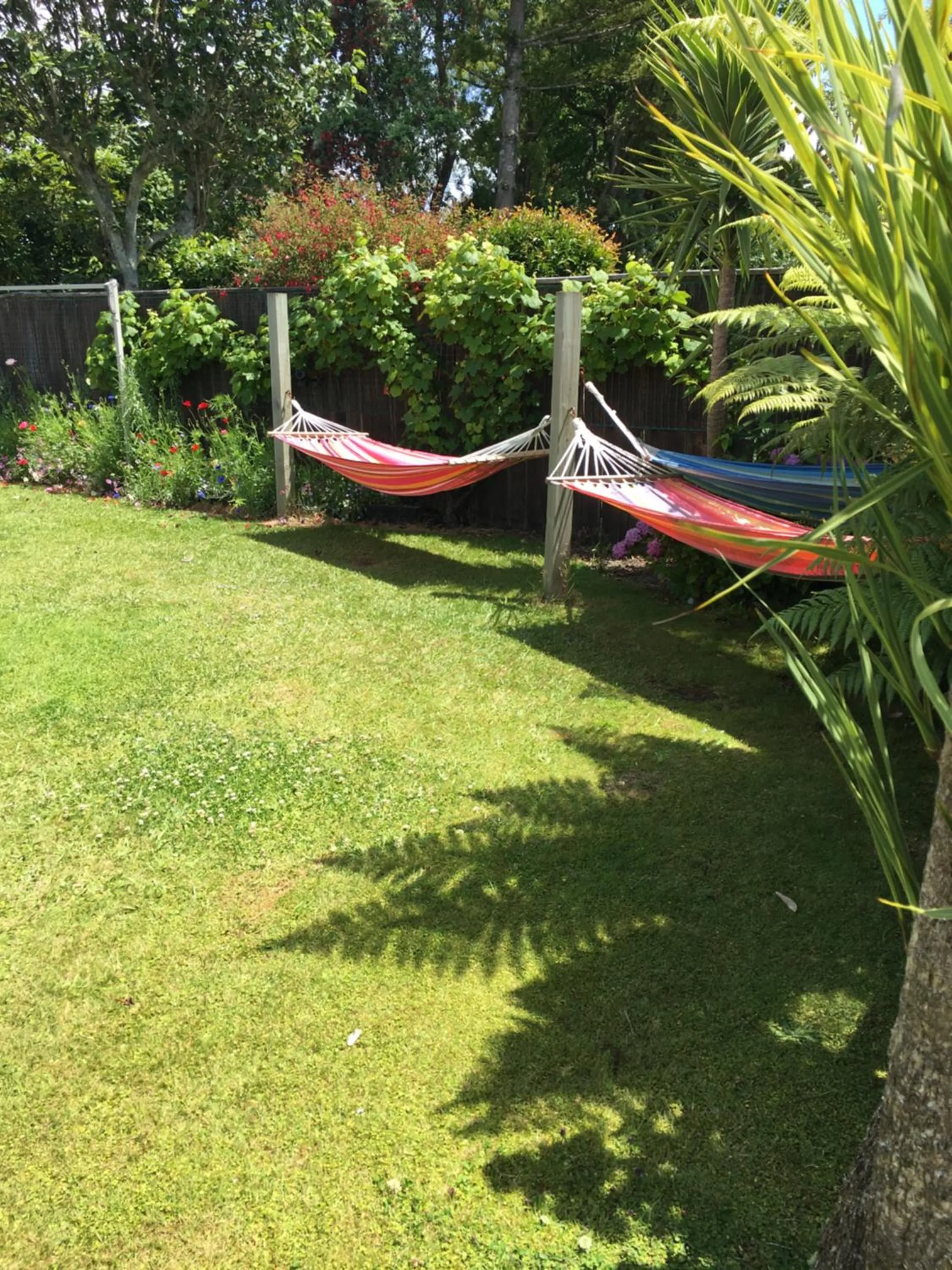 Garden in Tripinn Motel & Share Accommodation