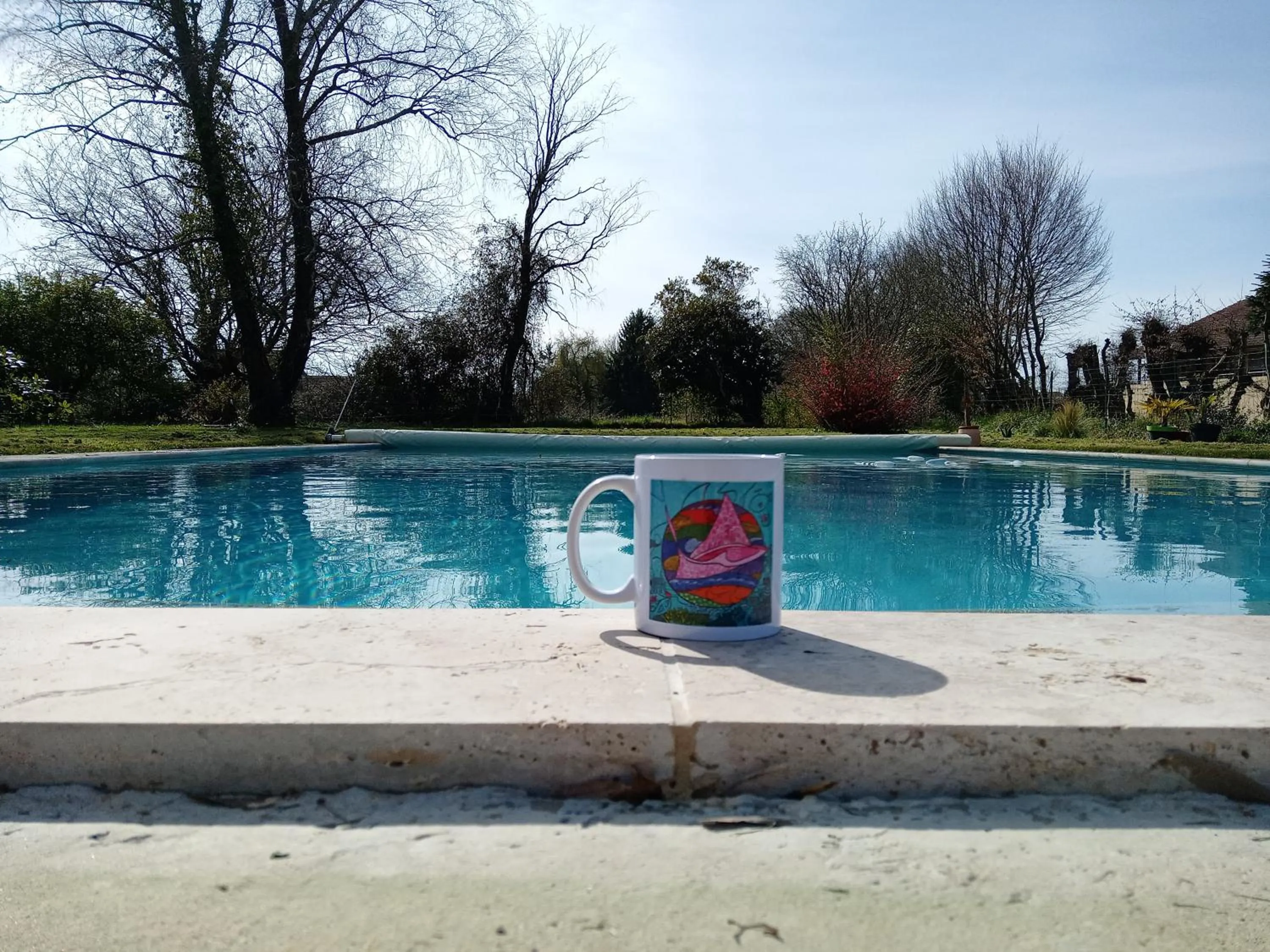 Swimming pool in LA VILLA DU BEARN