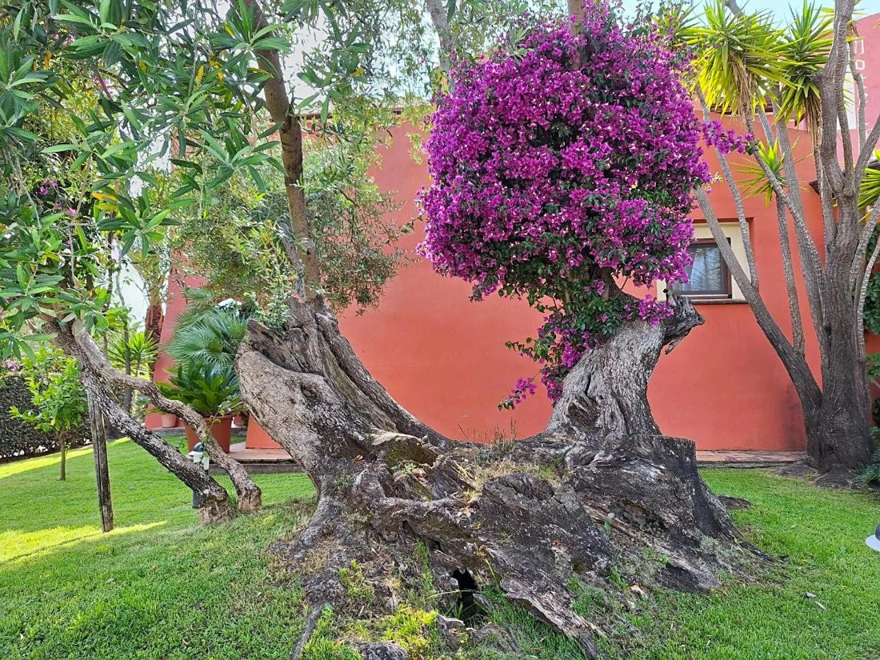 Garden in Hotel Il Vecchio Mulino