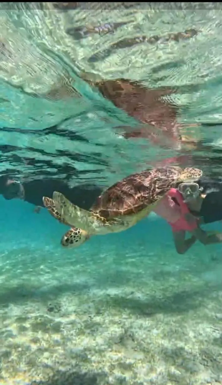 Banana Leaf Bungalow