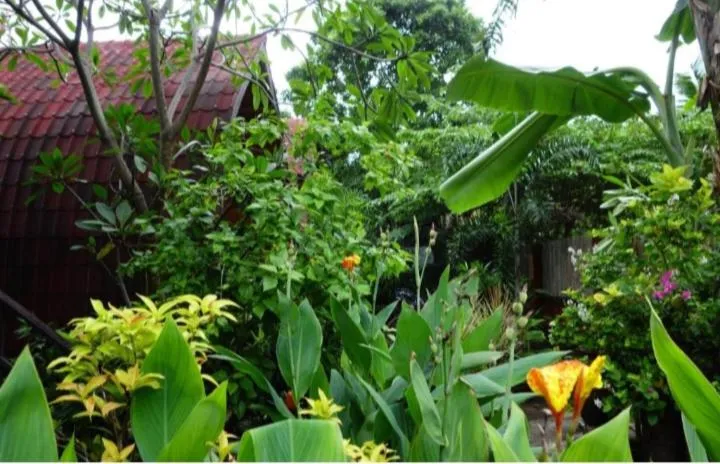 Banana Leaf Bungalow