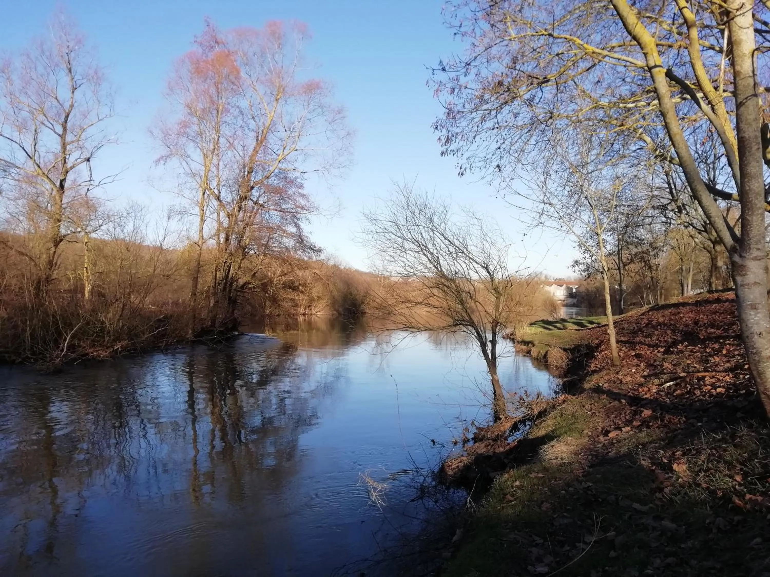 Natural landscape in Chambres d'hôtes La Tuilerie